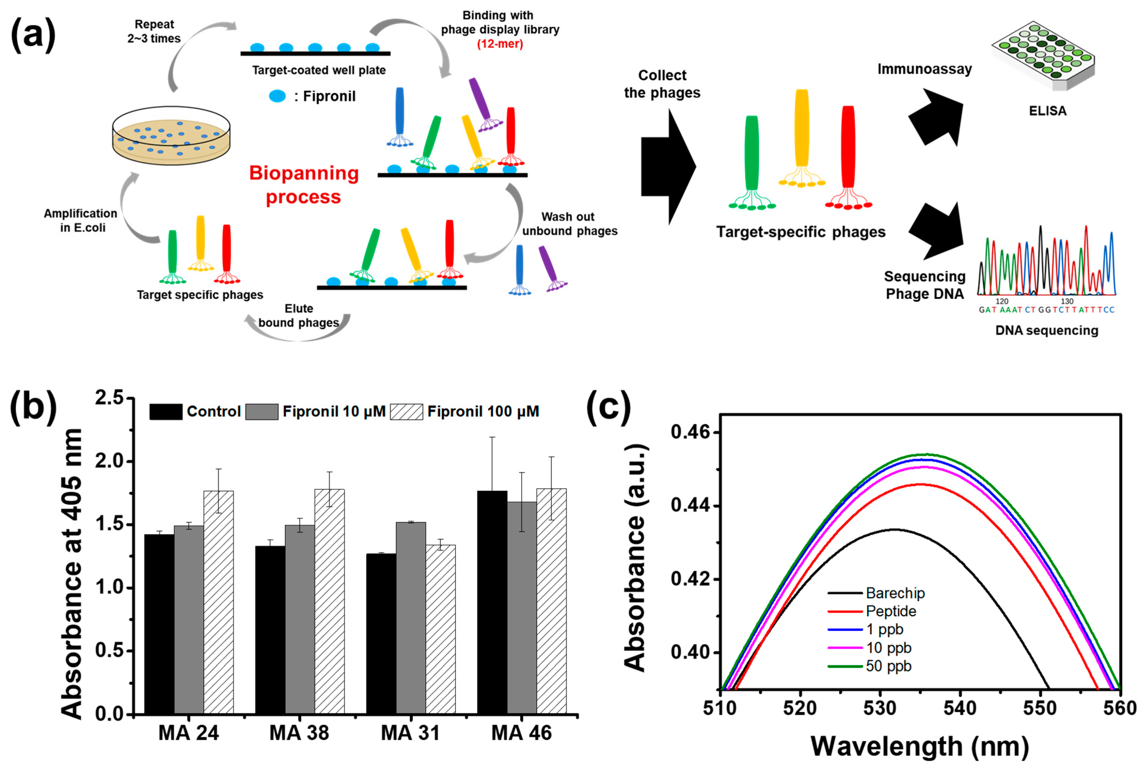 Biosensors 12 00914 g001 Biosensors 12 00914 g001