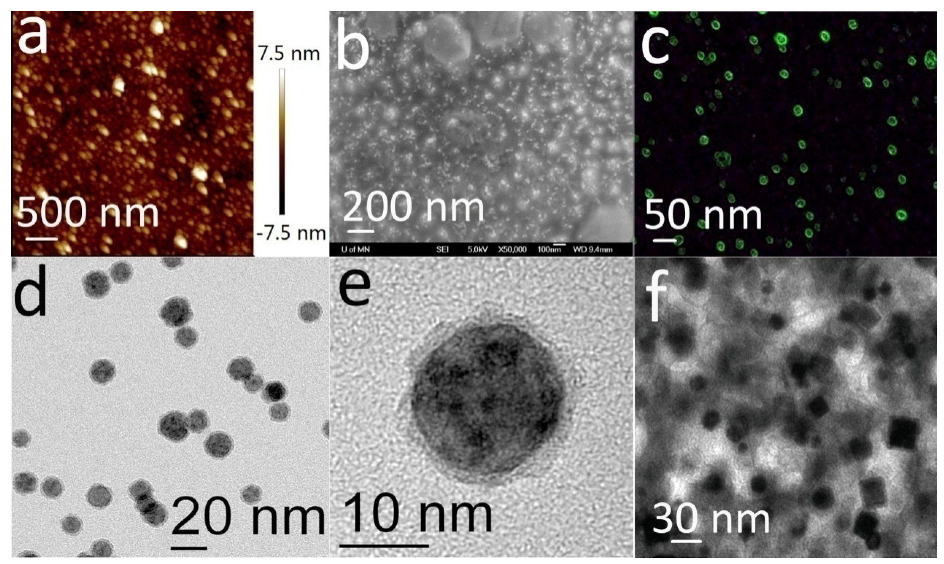 Biosensors 12 00916 g003