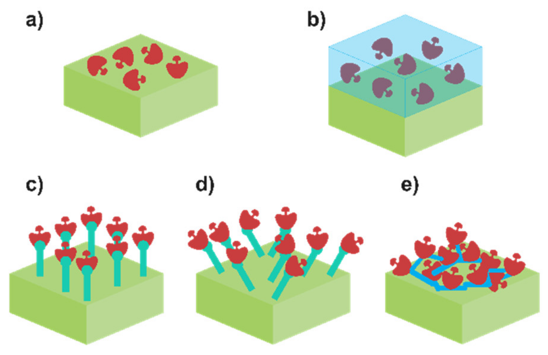 Biosensors 12 00919 g003