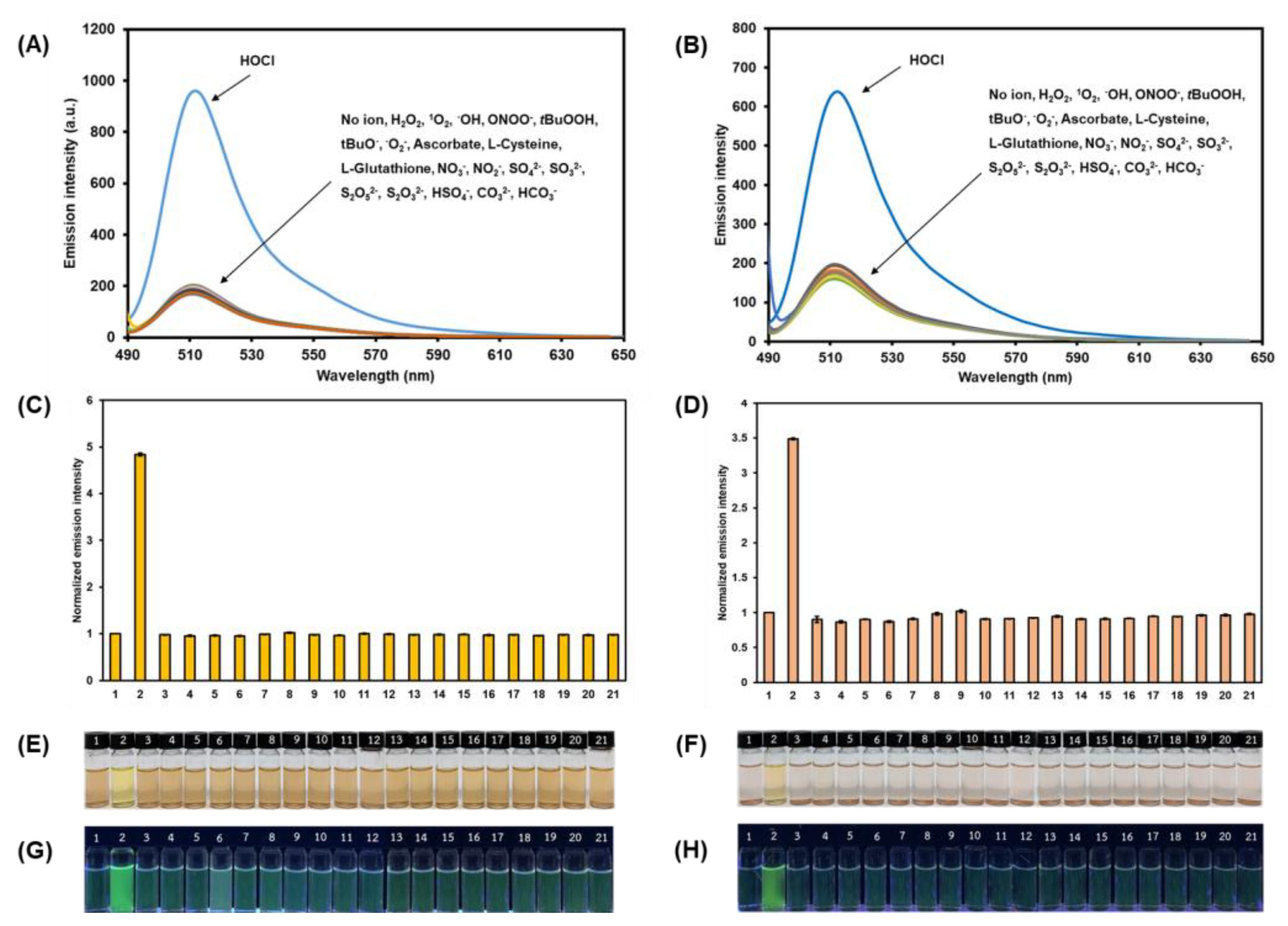 Biosensors 12 00923 g005