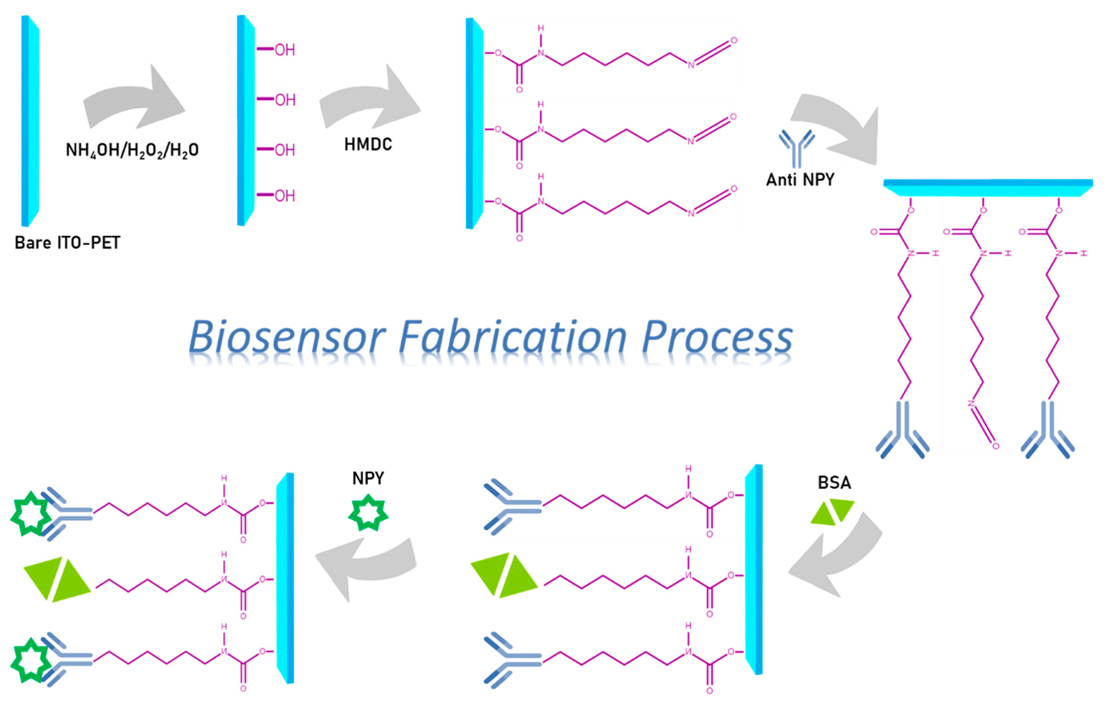 Biosensors 12 00925 sch001