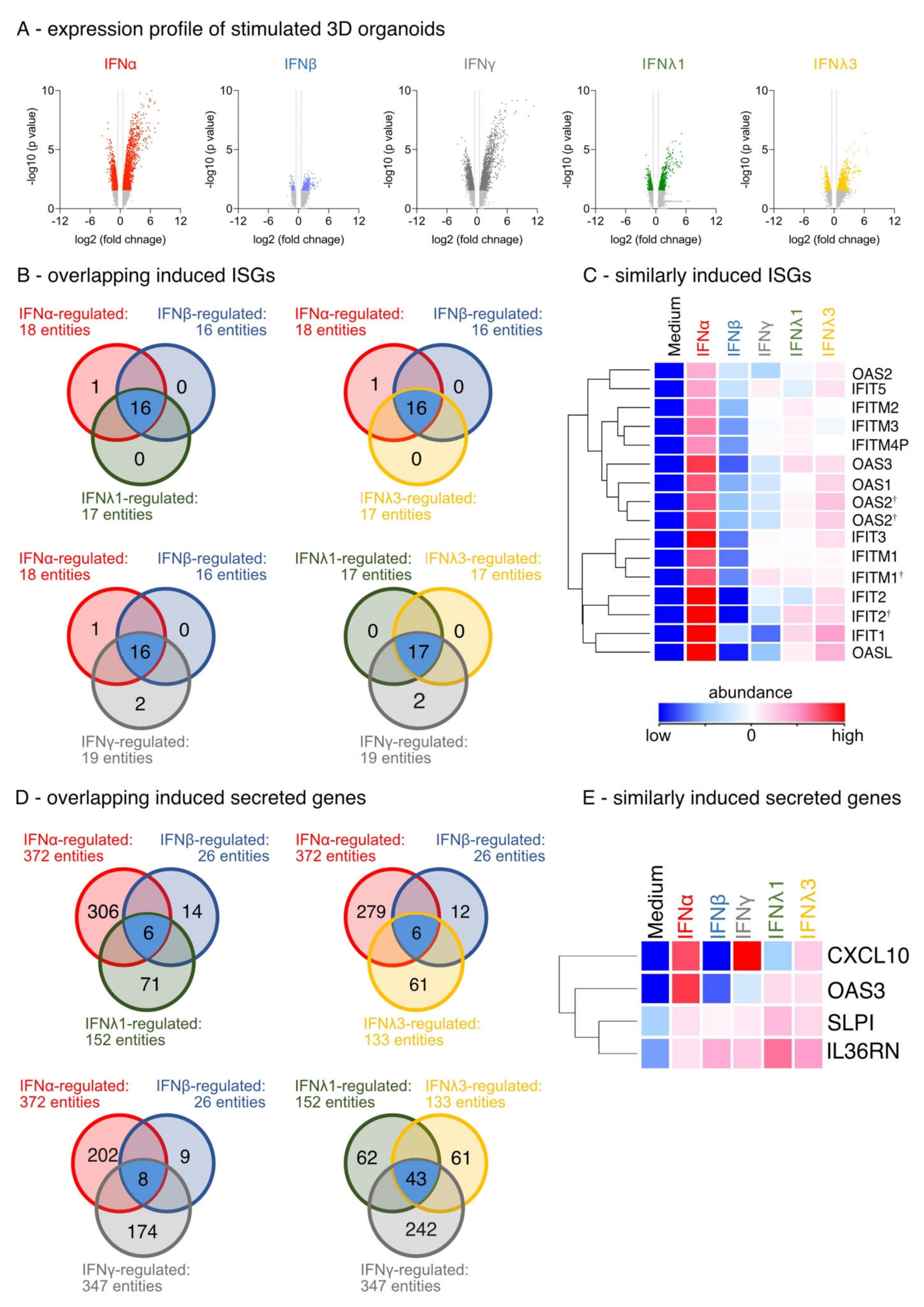 Biosensors 12 00929 g002