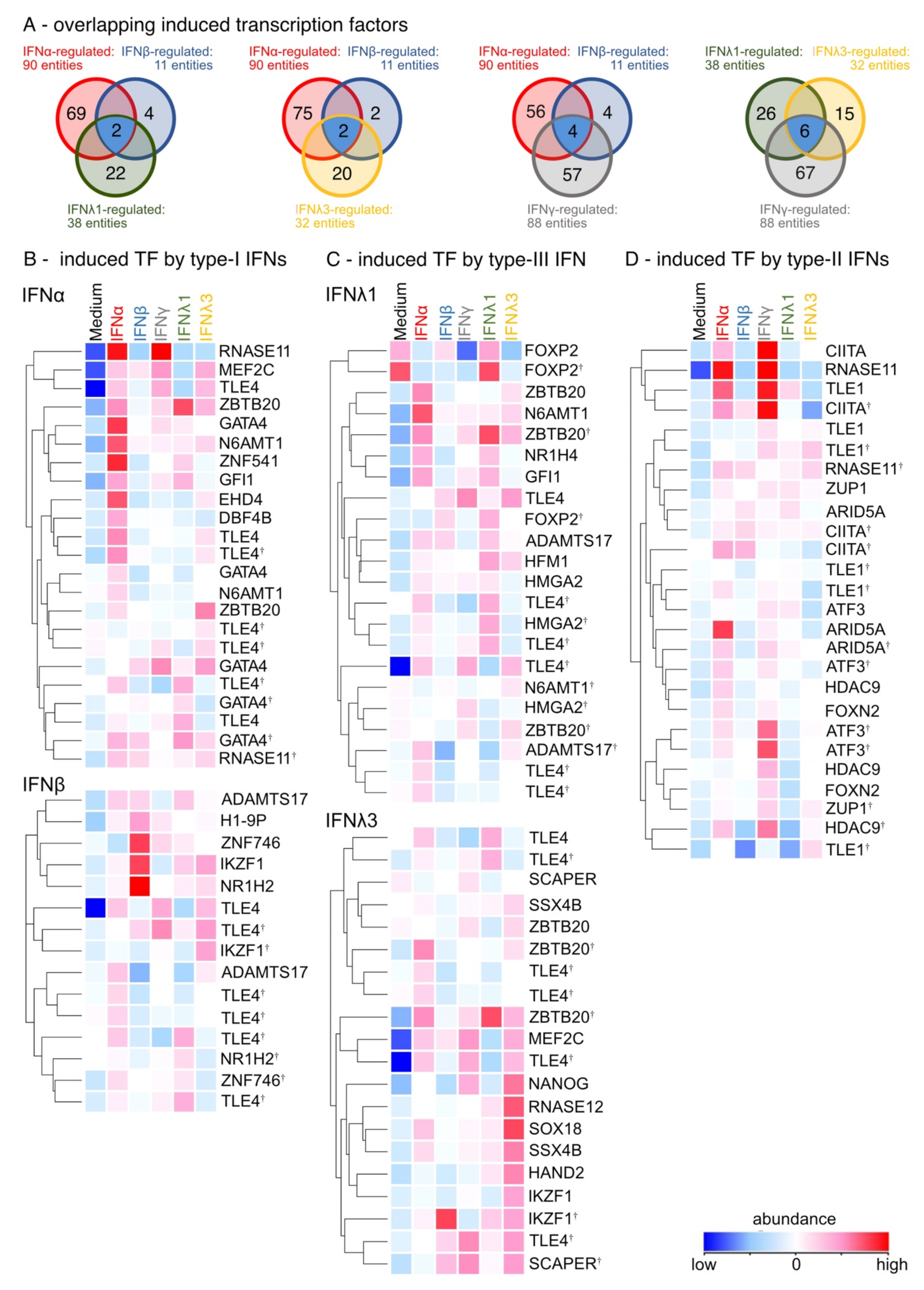 Biosensors 12 00929 g003