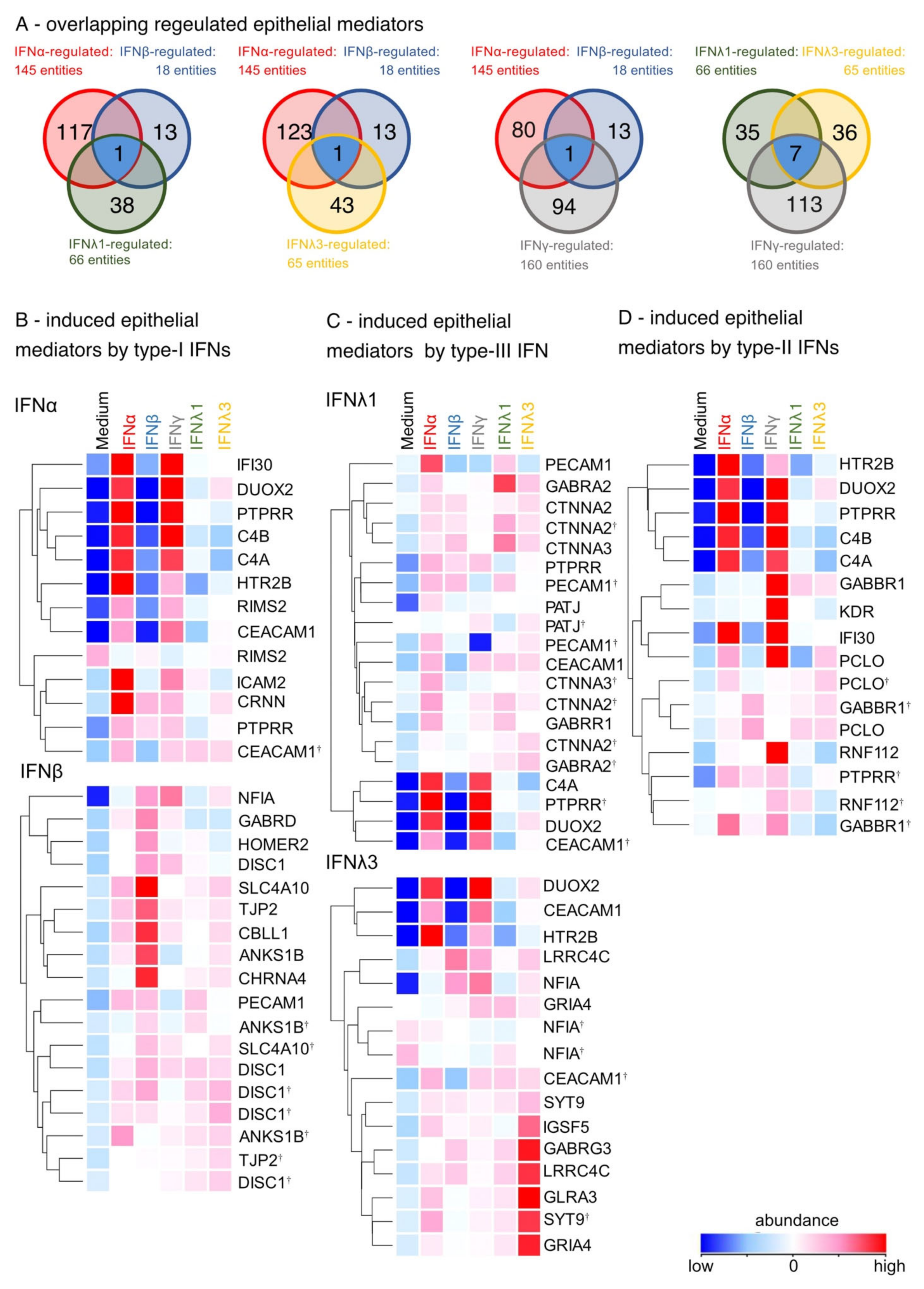 Biosensors 12 00929 g005
