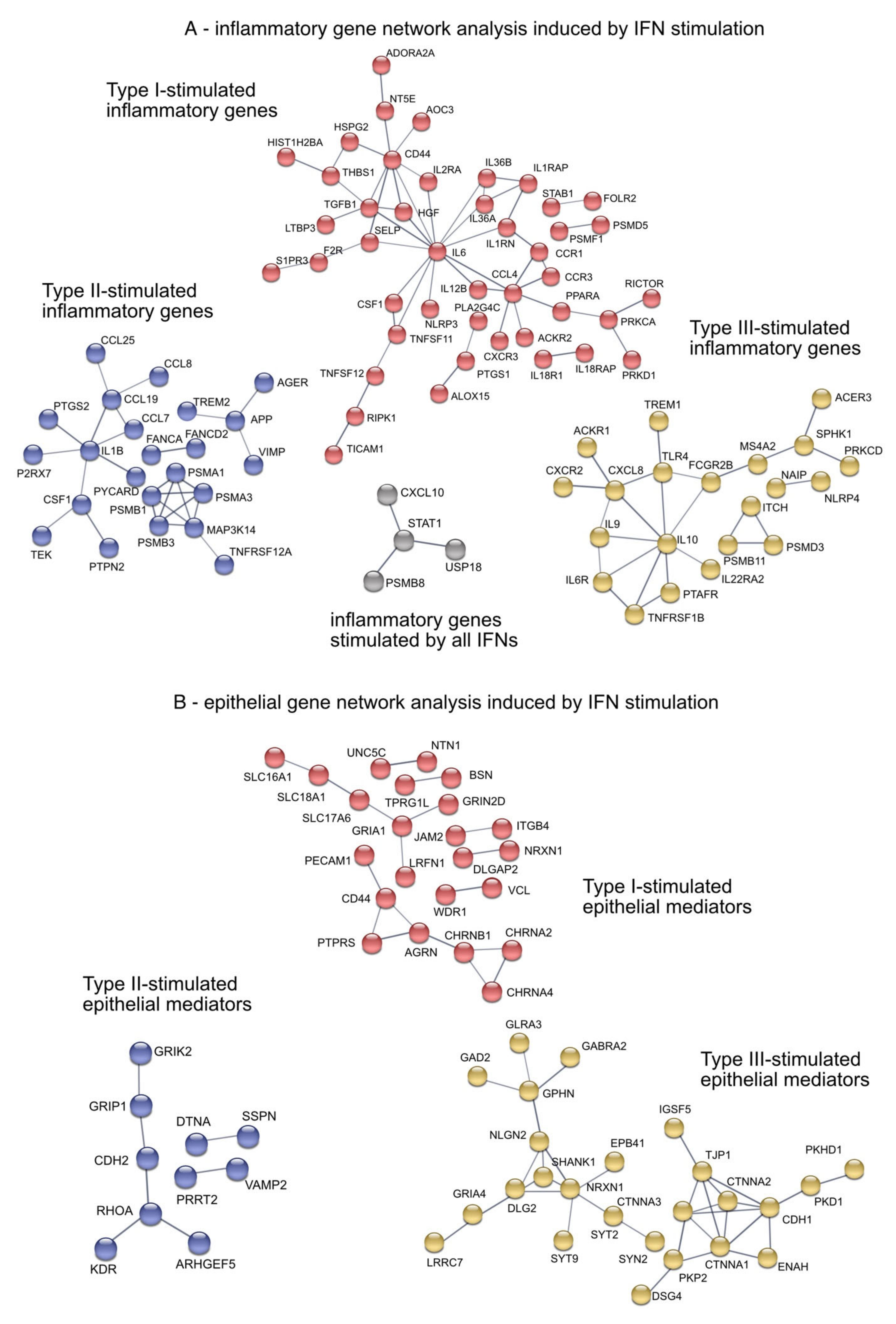 Biosensors 12 00929 g006