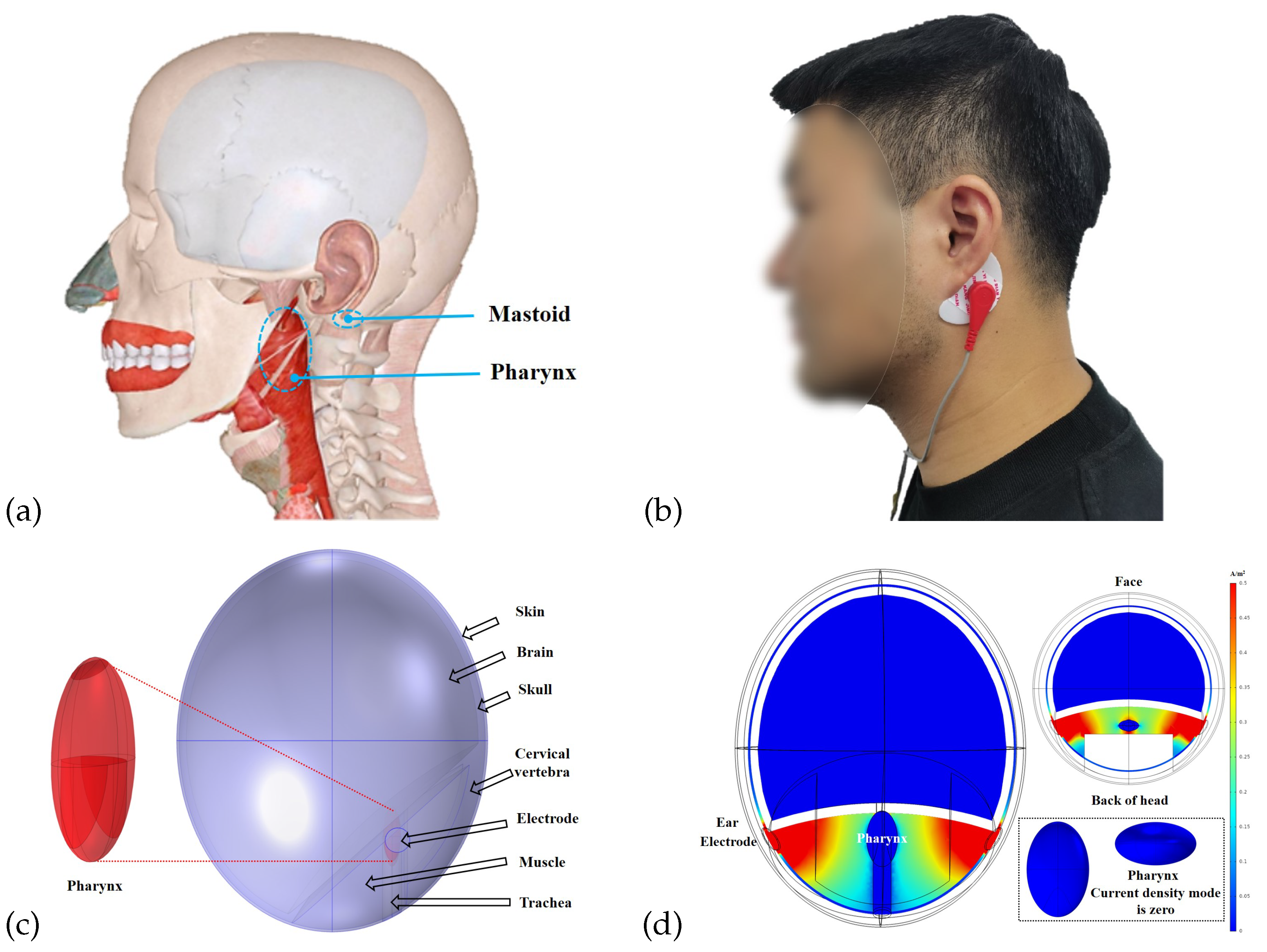 Biosensors 12 00934 g002