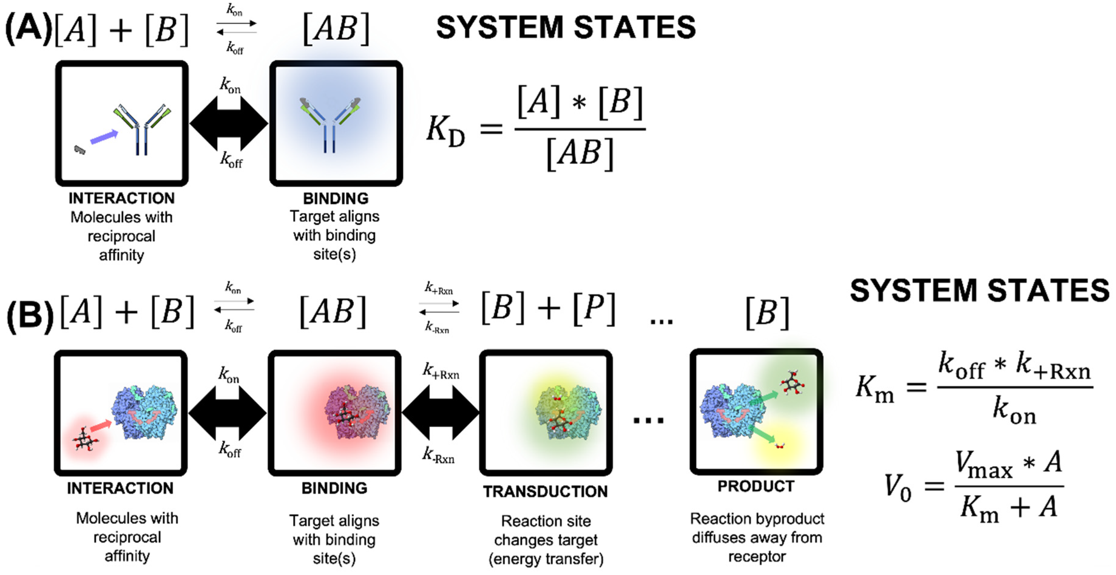 Biosensors 12 00938 g003