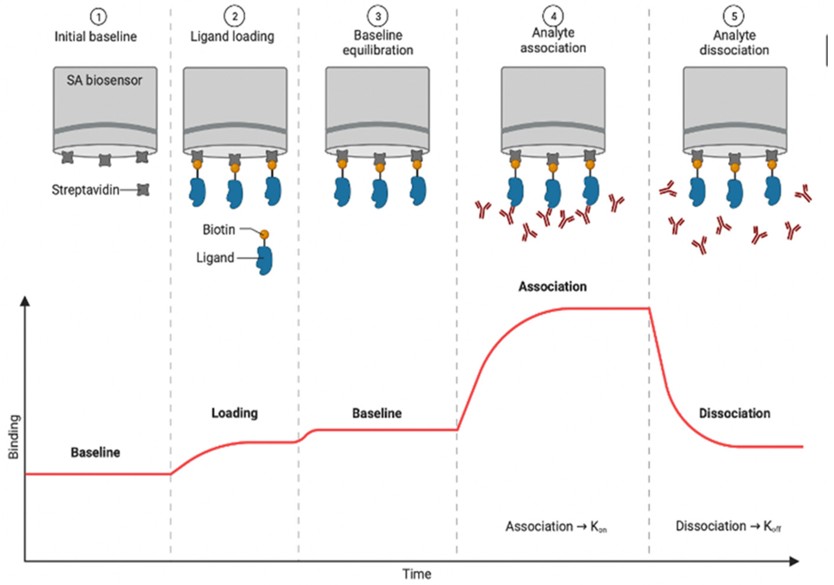 Biosensors 12 00938 g004