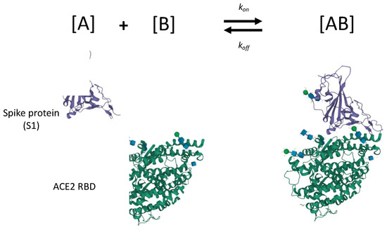 Biosensors 12 00938 g008