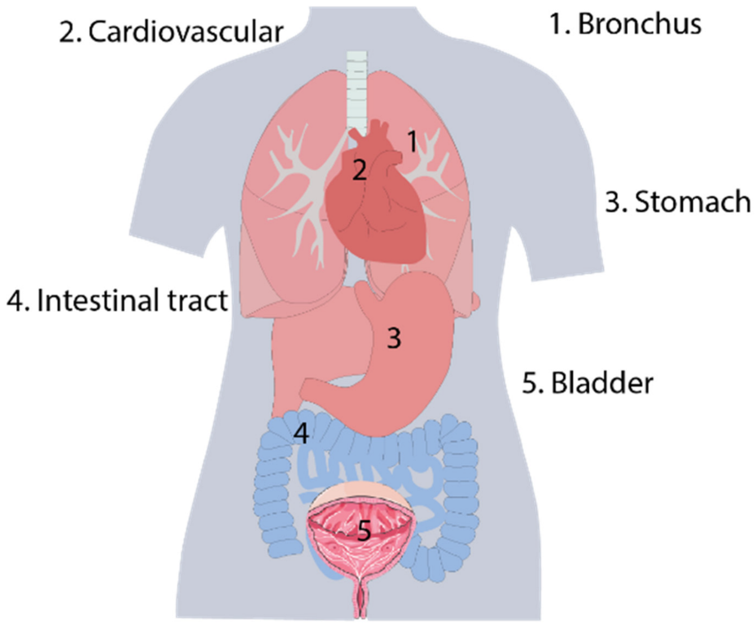 Biosensors 12 00943 g001