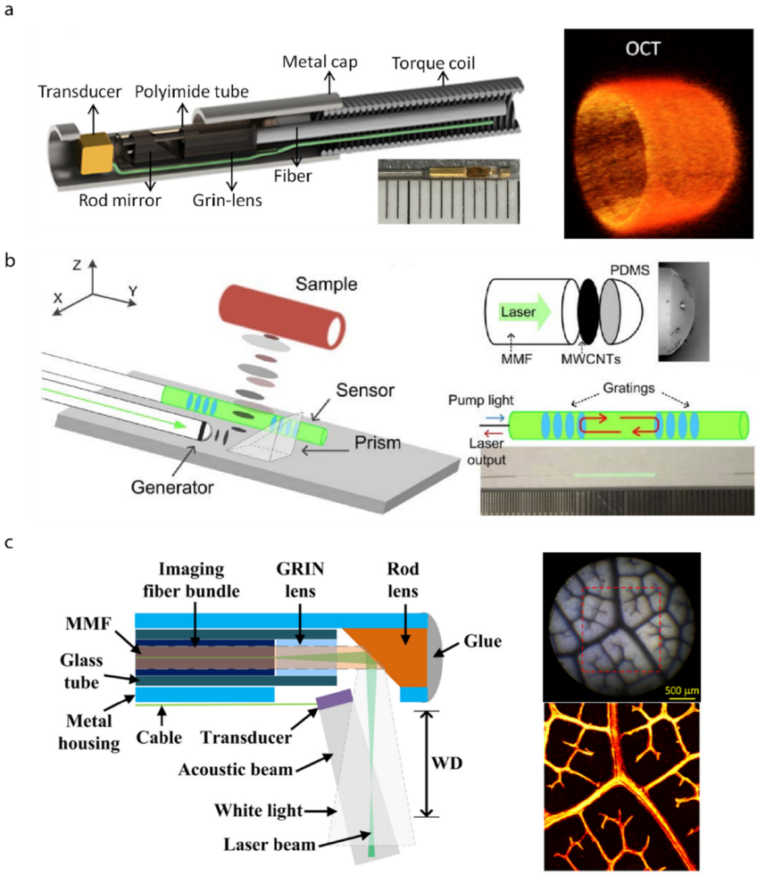 Biosensors 12 00943 g006
