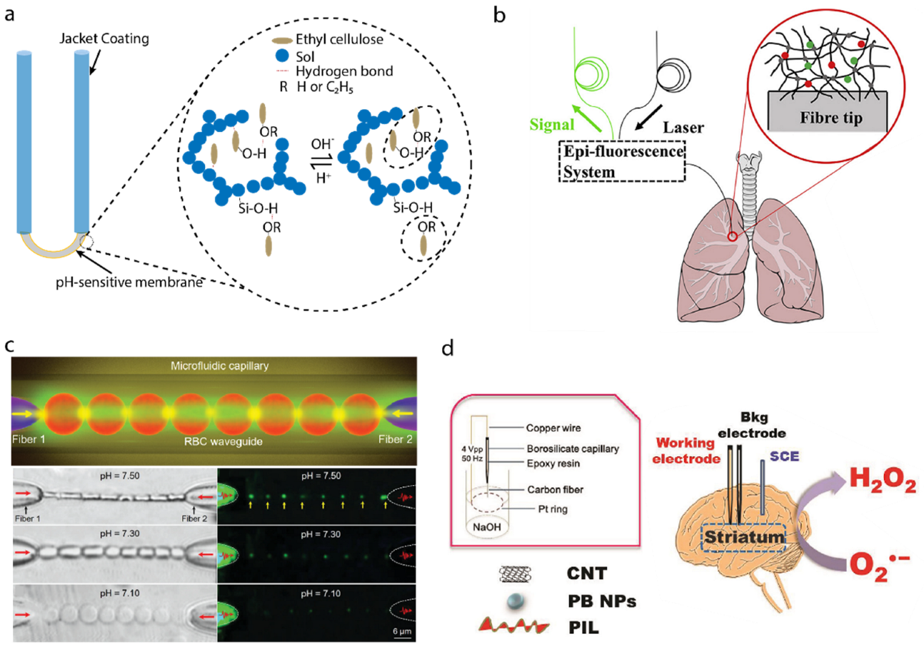 Biosensors 12 00943 g007
