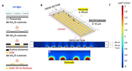 Biosensors 12 00946 g001
