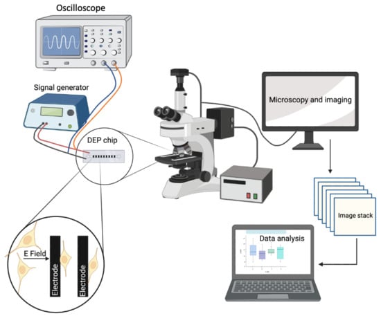 Biosensors 12 00946 g002