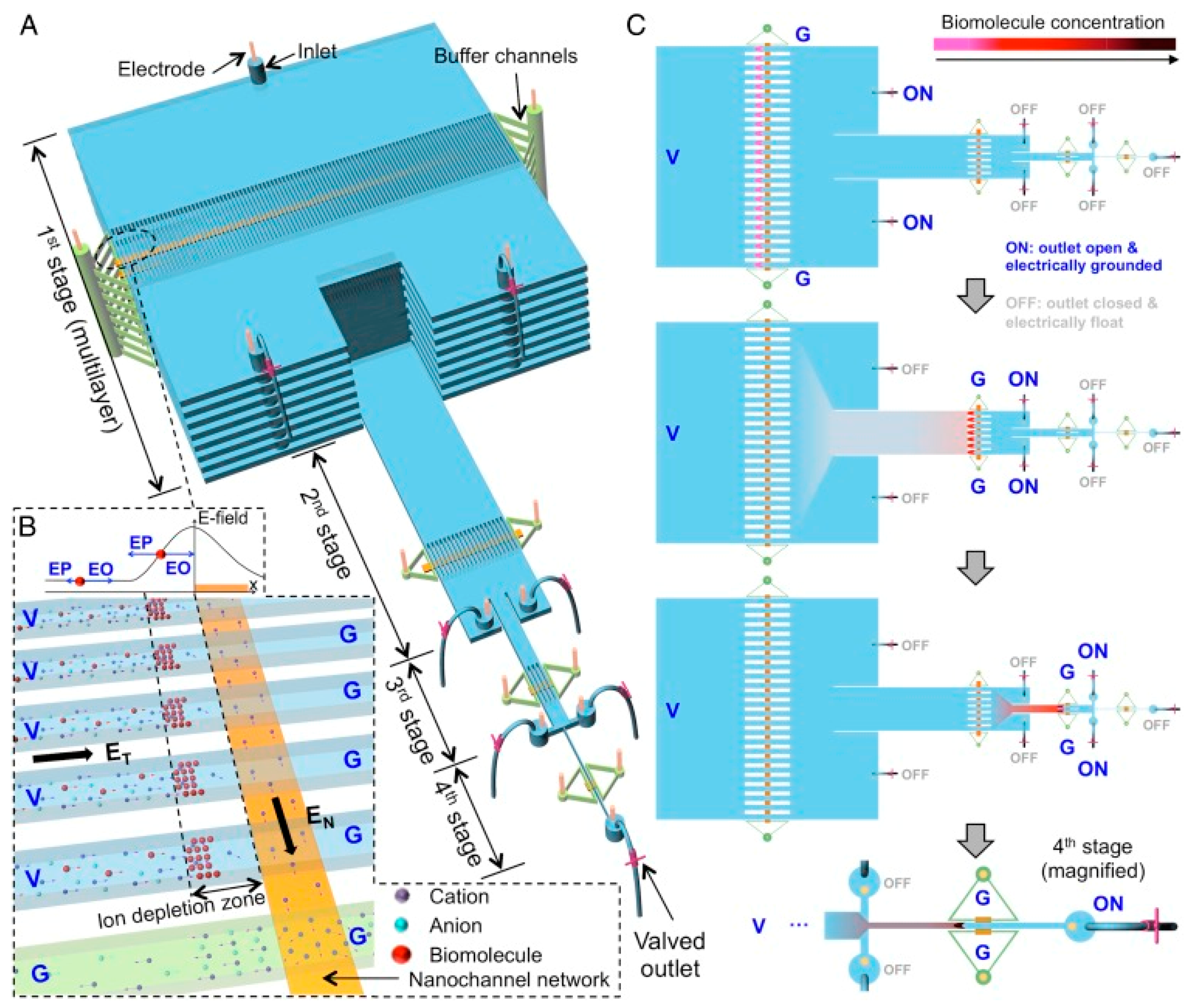 Biosensors 12 00949 g004