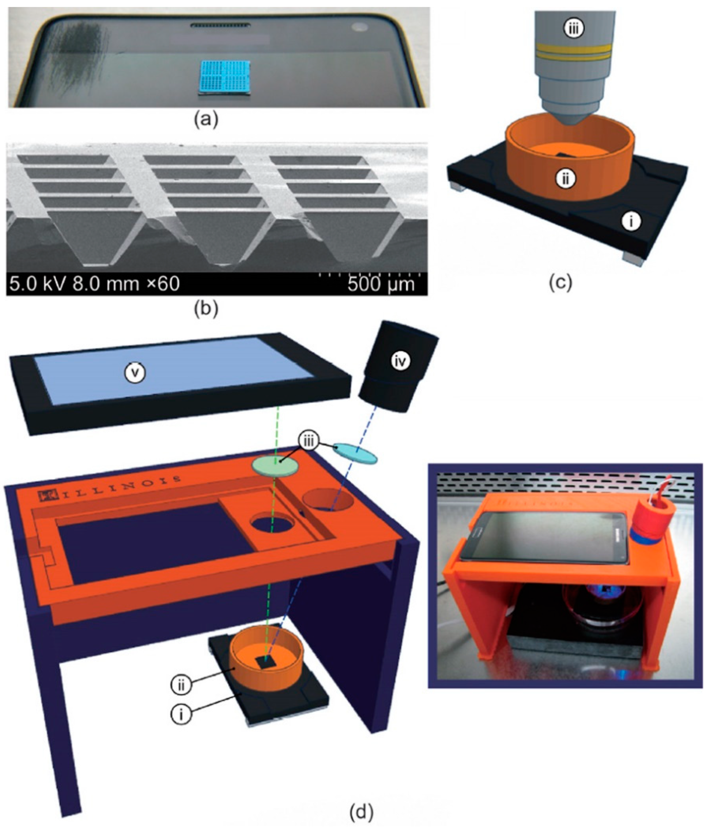 Biosensors 12 00949 g005