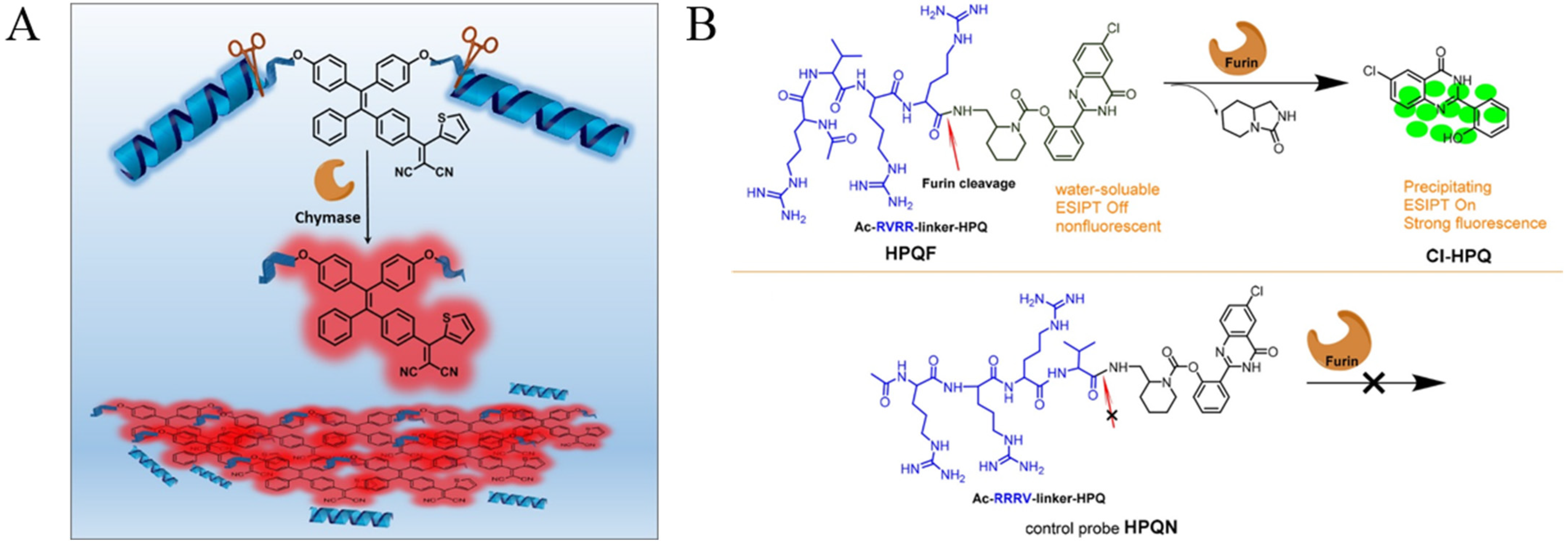 Biosensors 12 00953 g001