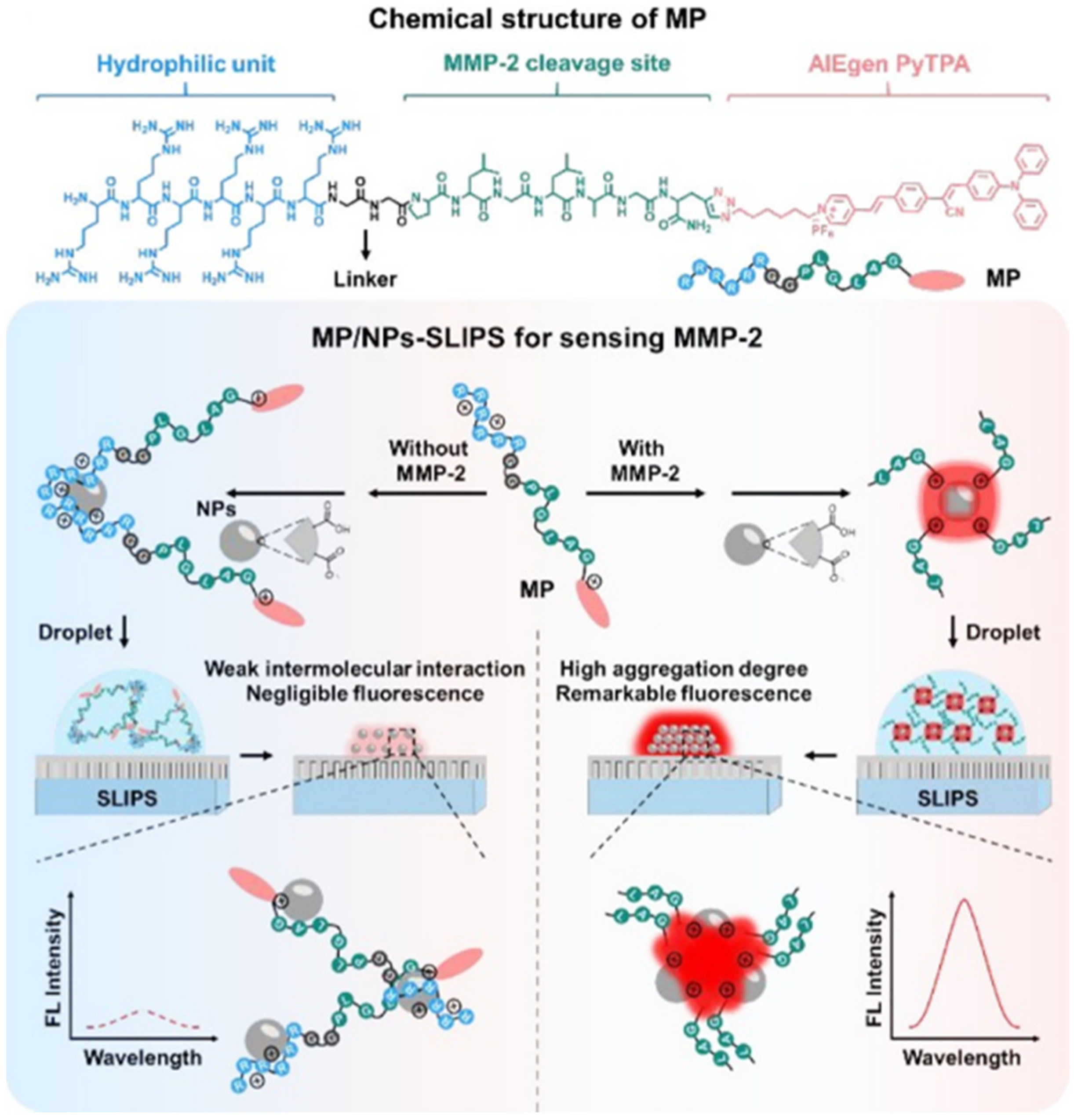 Biosensors 12 00953 g002
