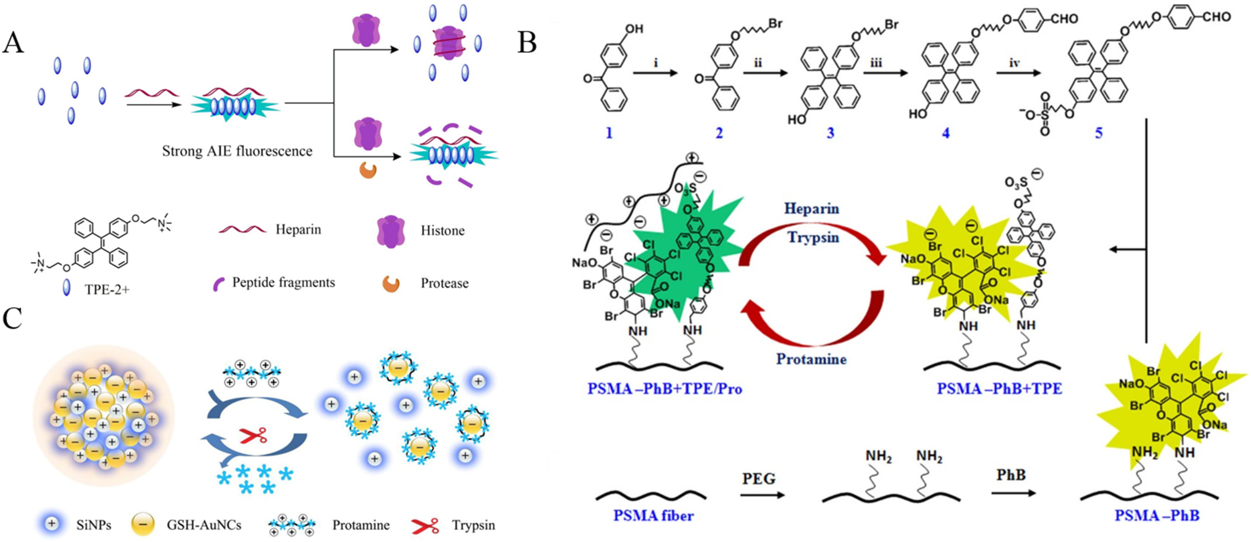 Biosensors 12 00953 g005