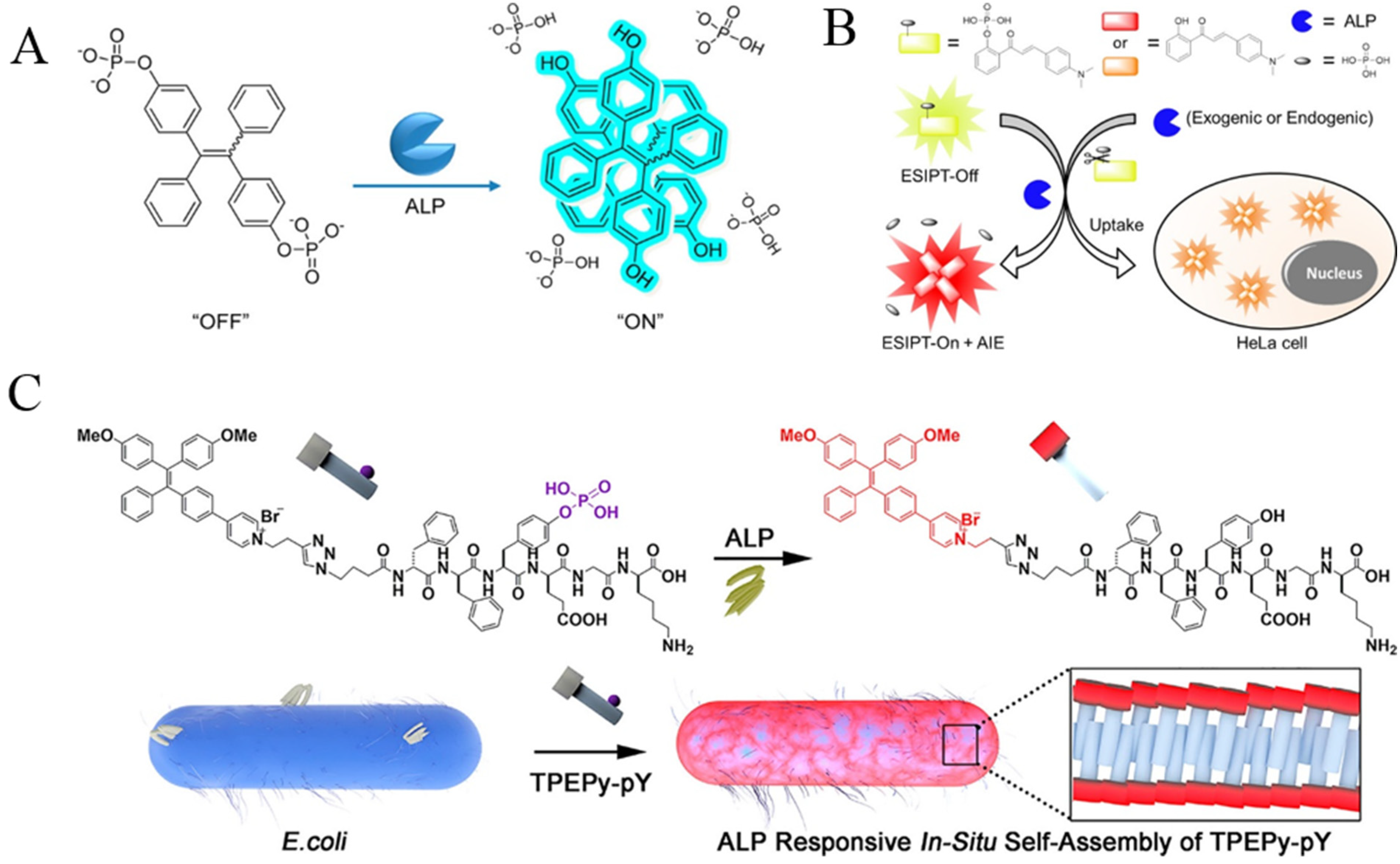 Biosensors 12 00953 g006