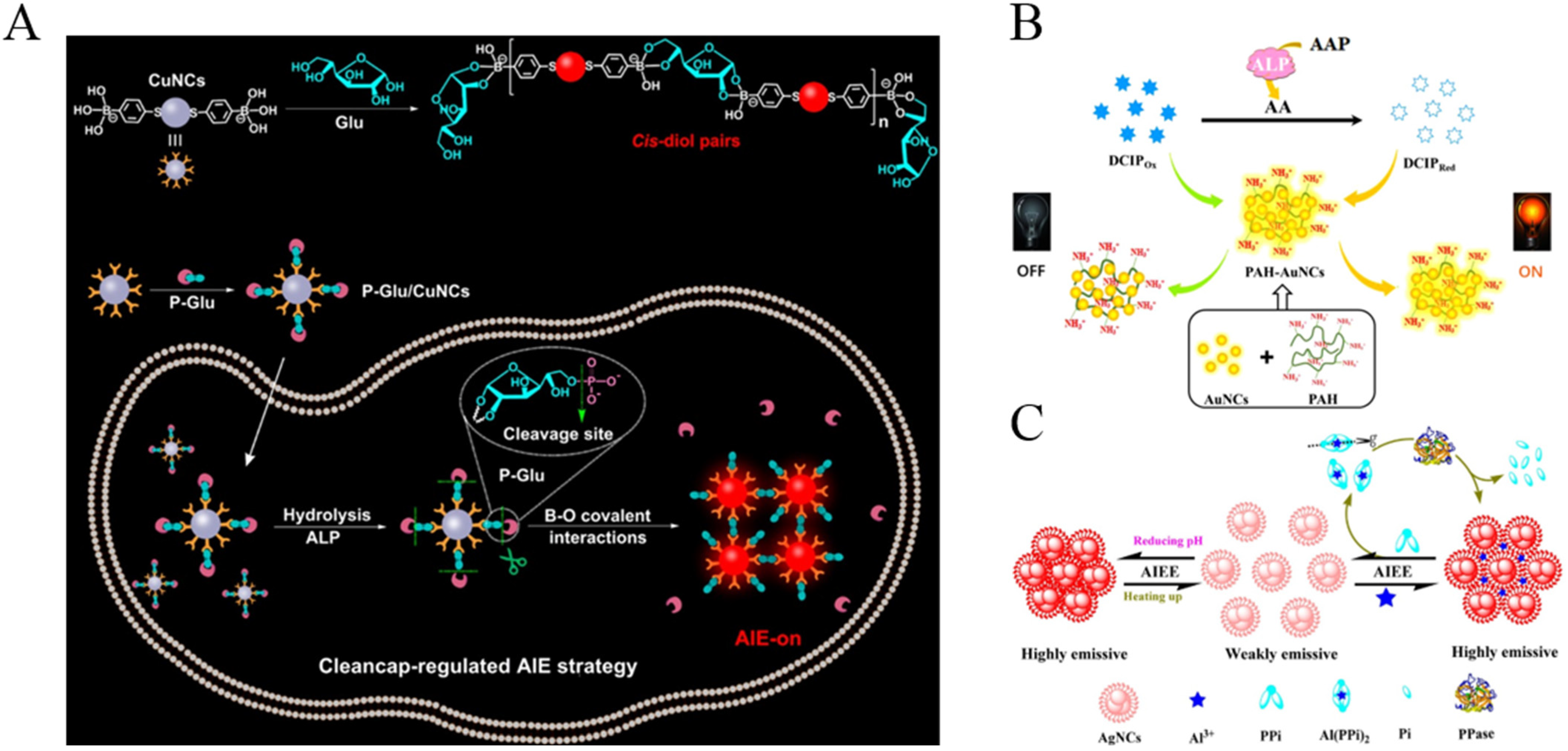 Biosensors 12 00953 g008