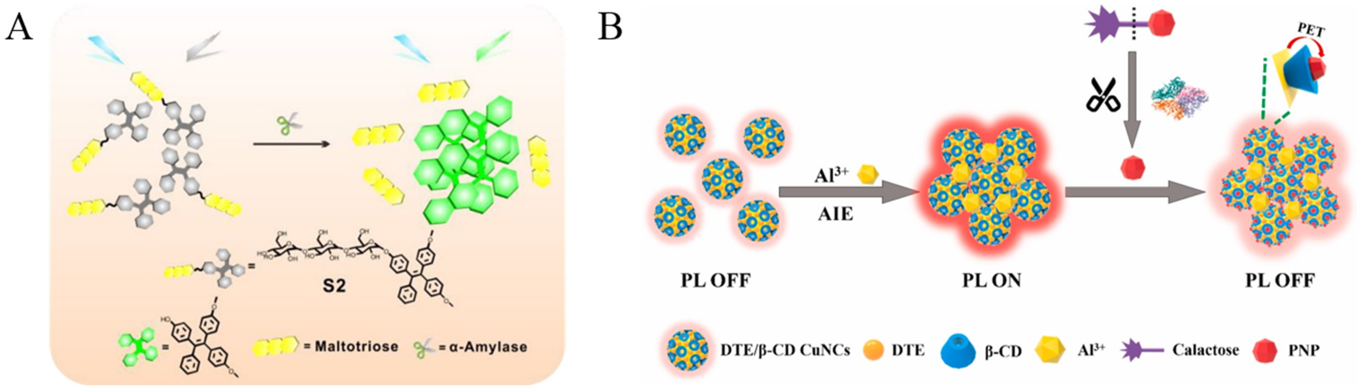 Biosensors 12 00953 g009