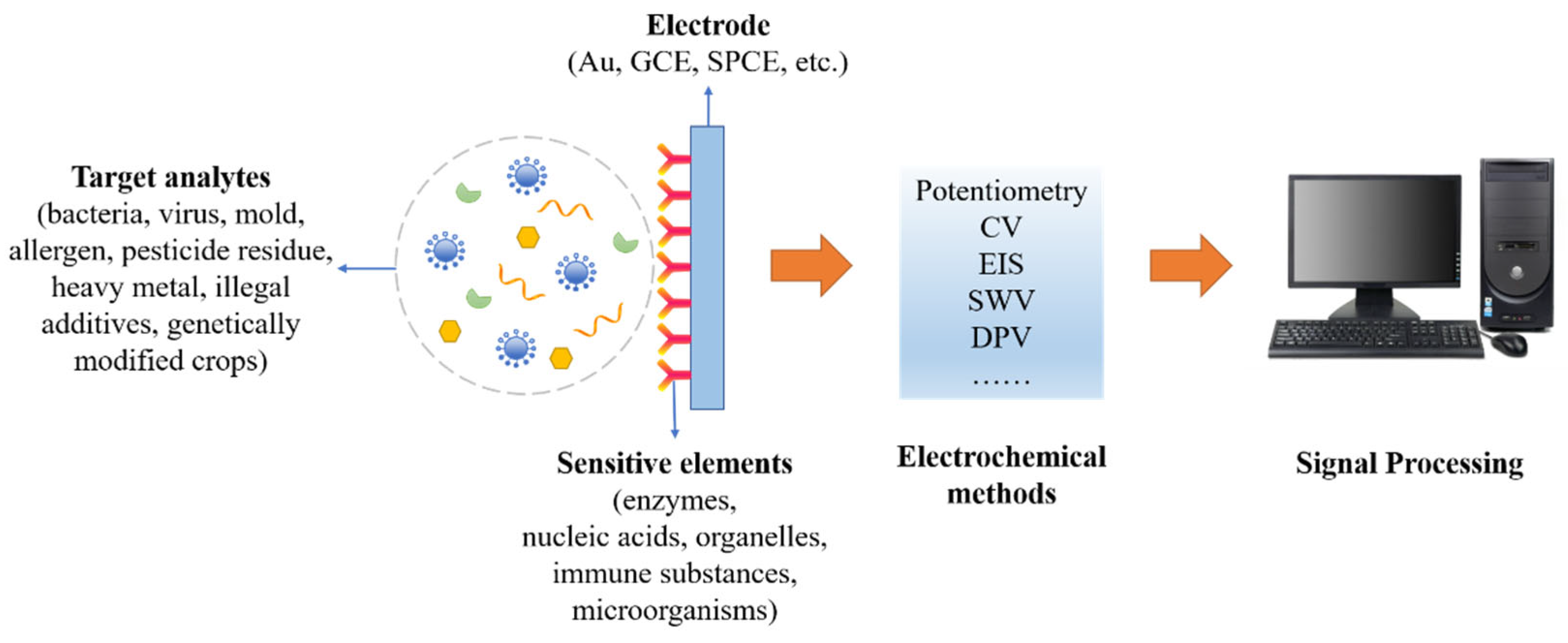 Biosensors 12 00959 g001
