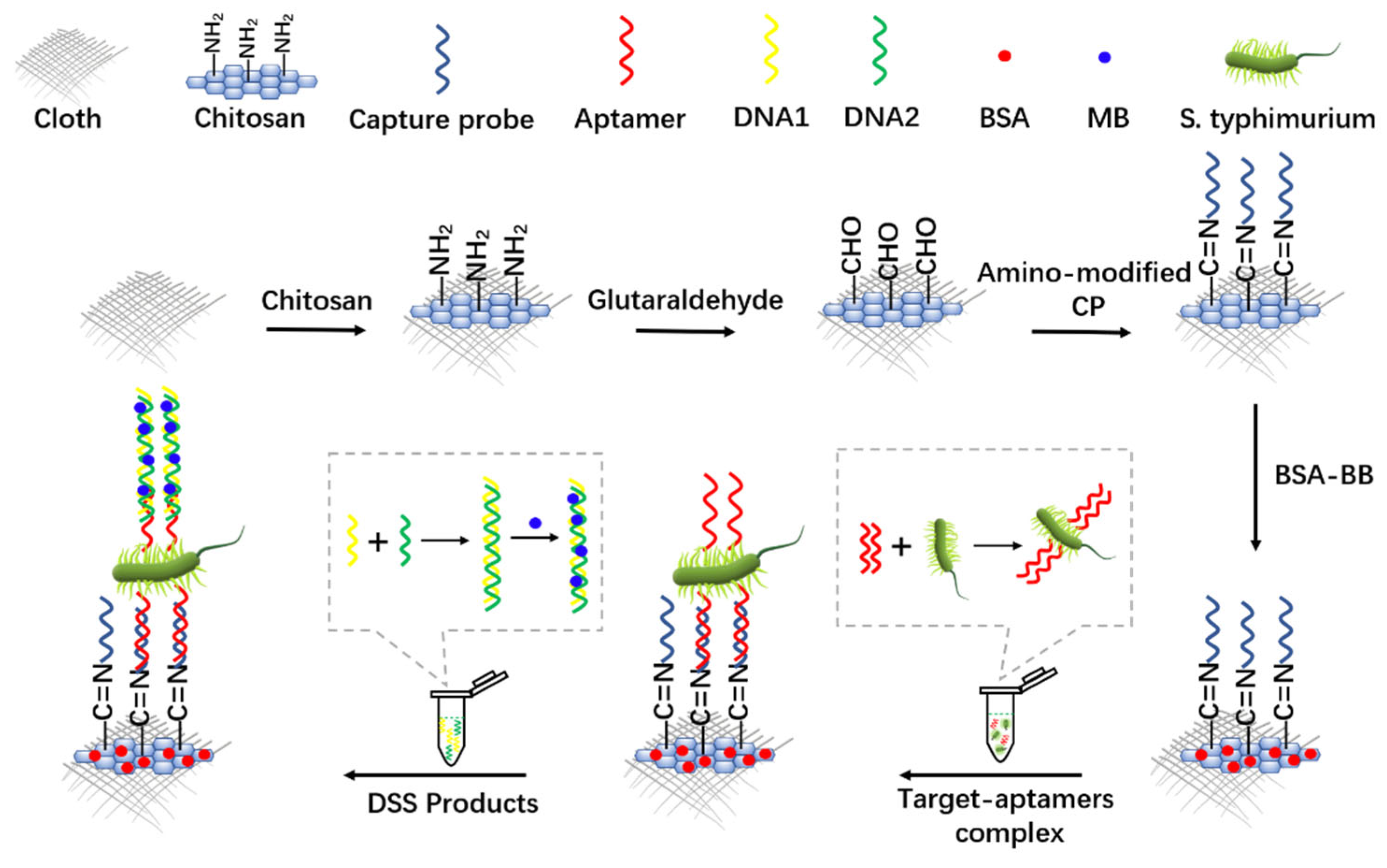 Biosensors 12 00959 g003