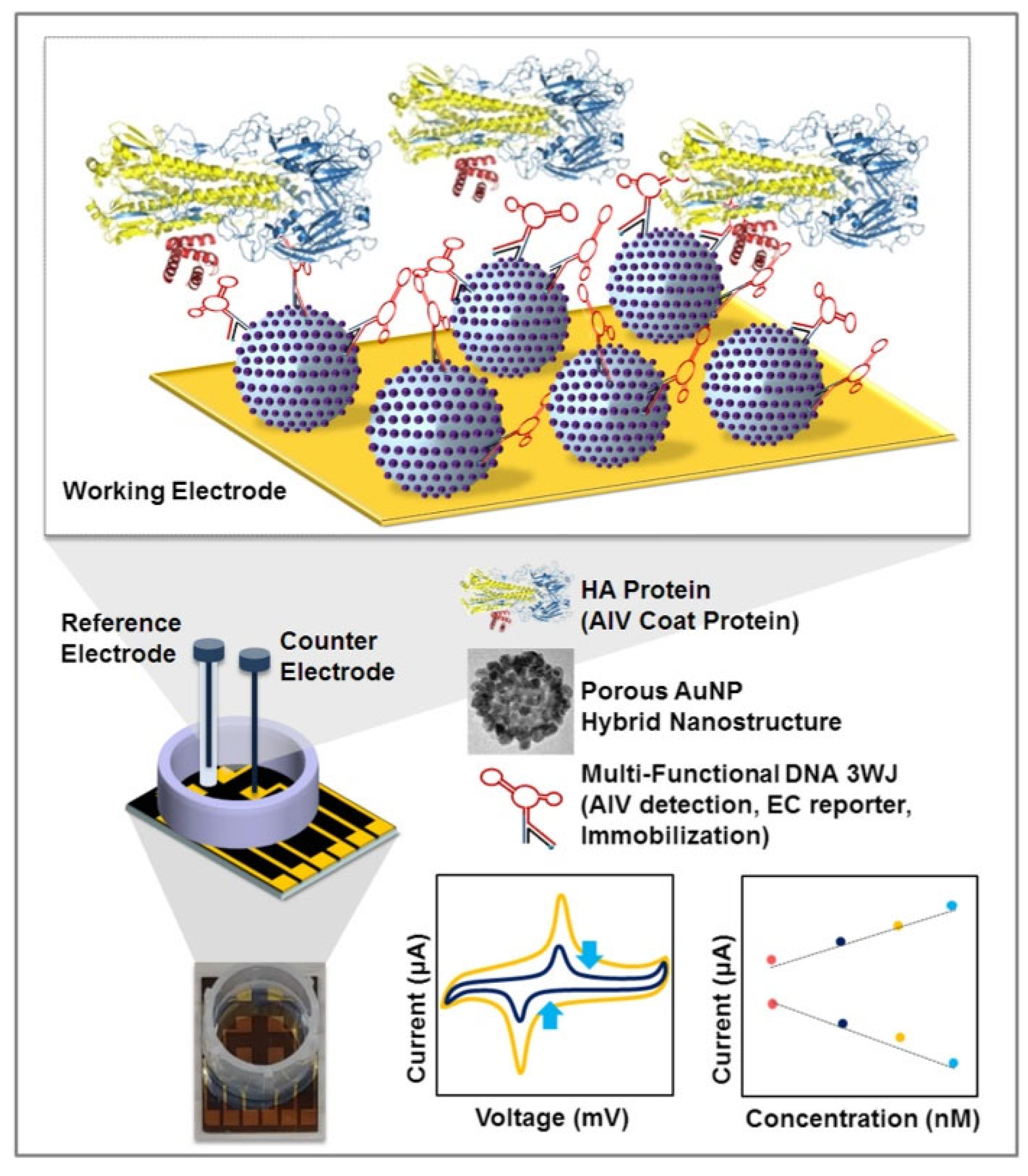 Biosensors 12 00959 g008