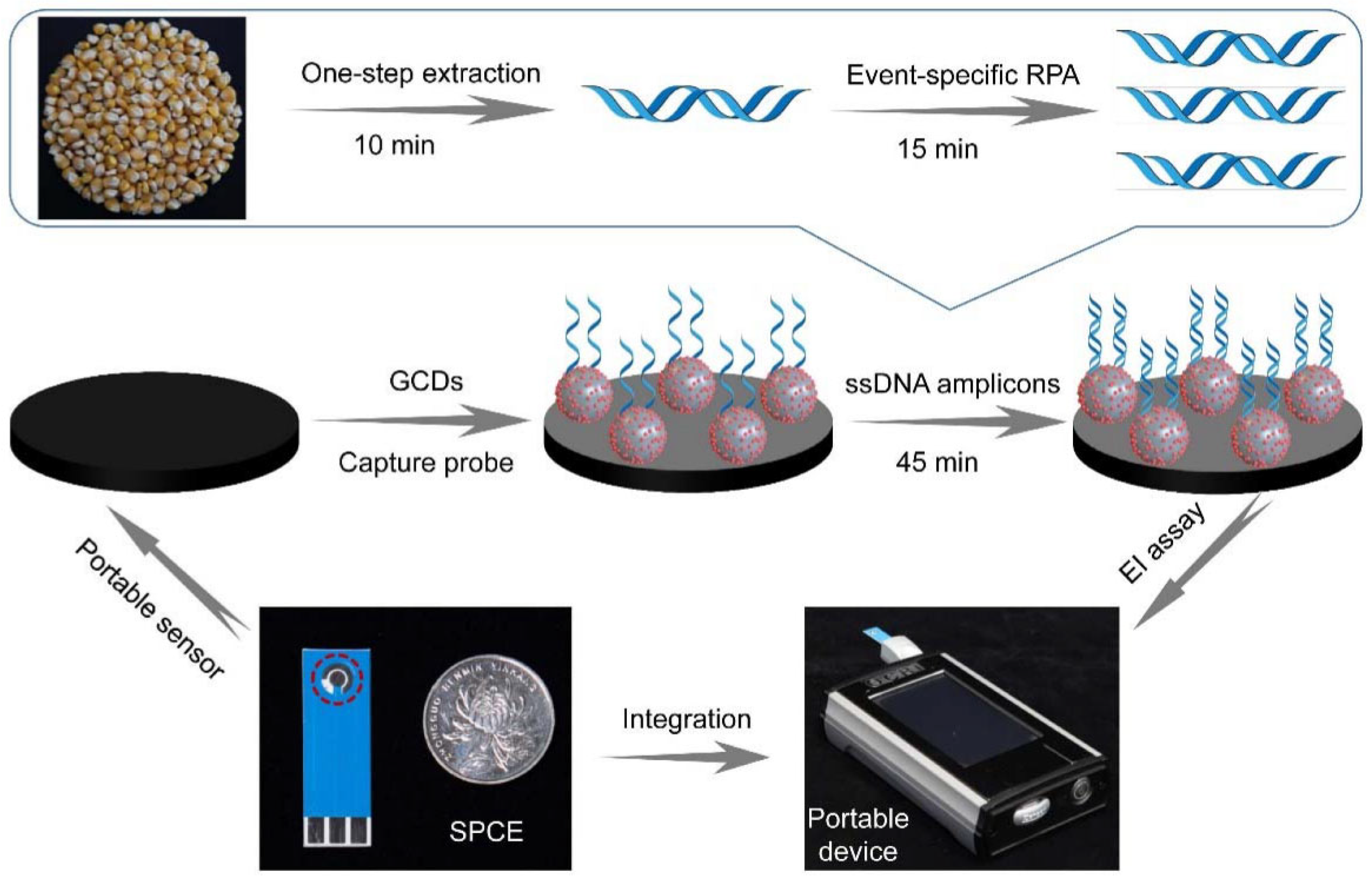 Biosensors 12 00959 g017