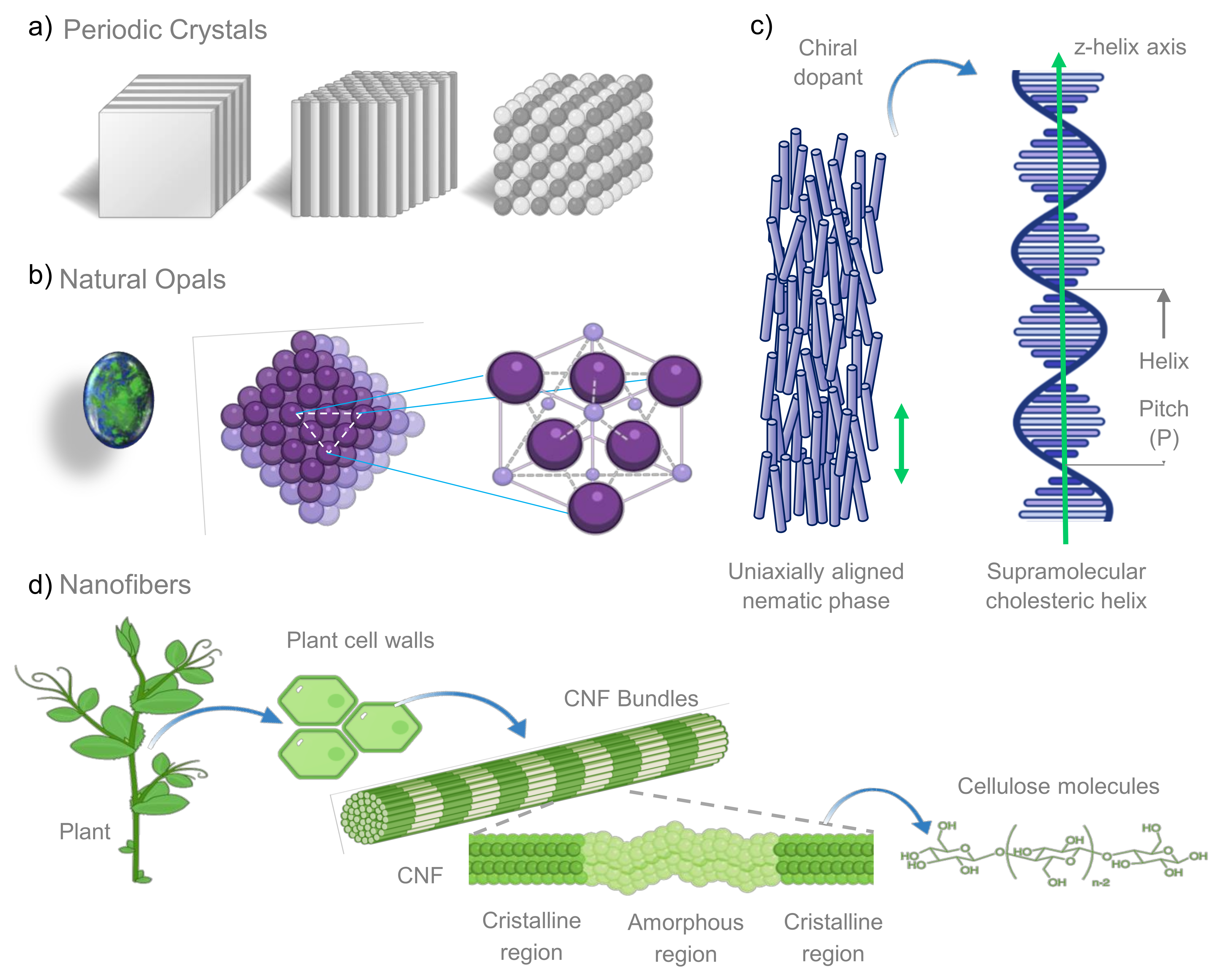 Biosensors 12 00962 g001