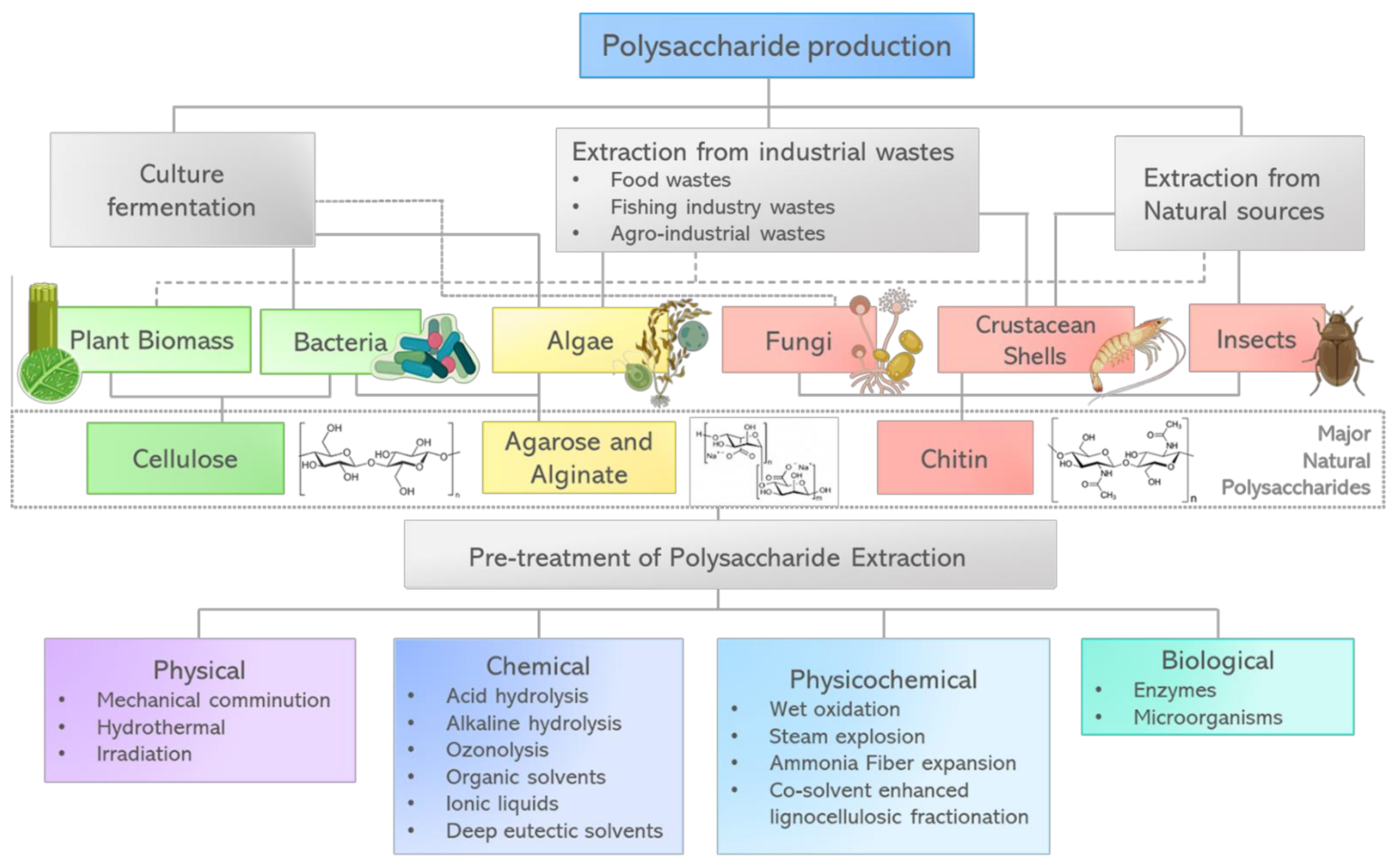 Biosensors 12 00962 g002