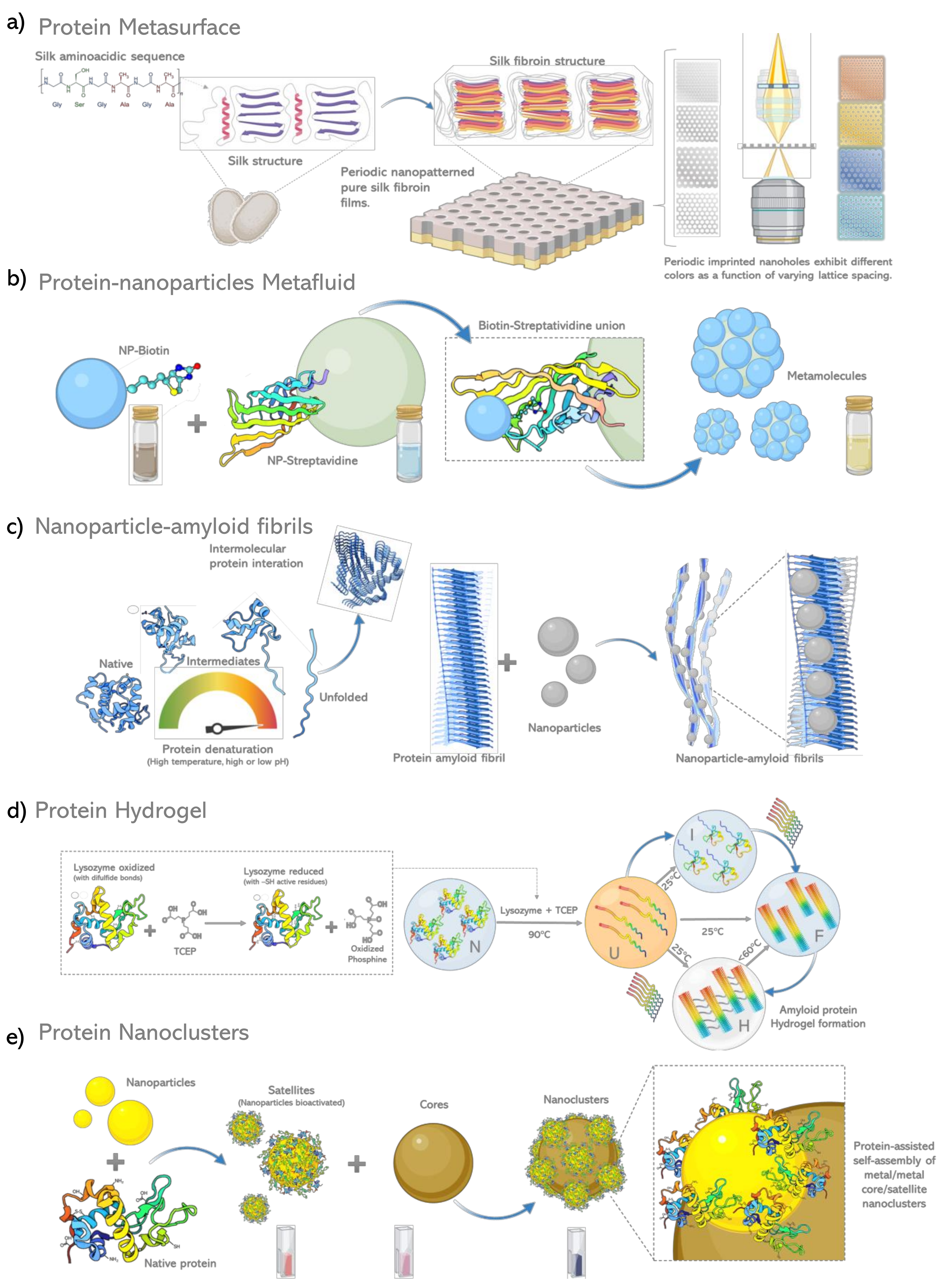 Biosensors 12 00962 g003
