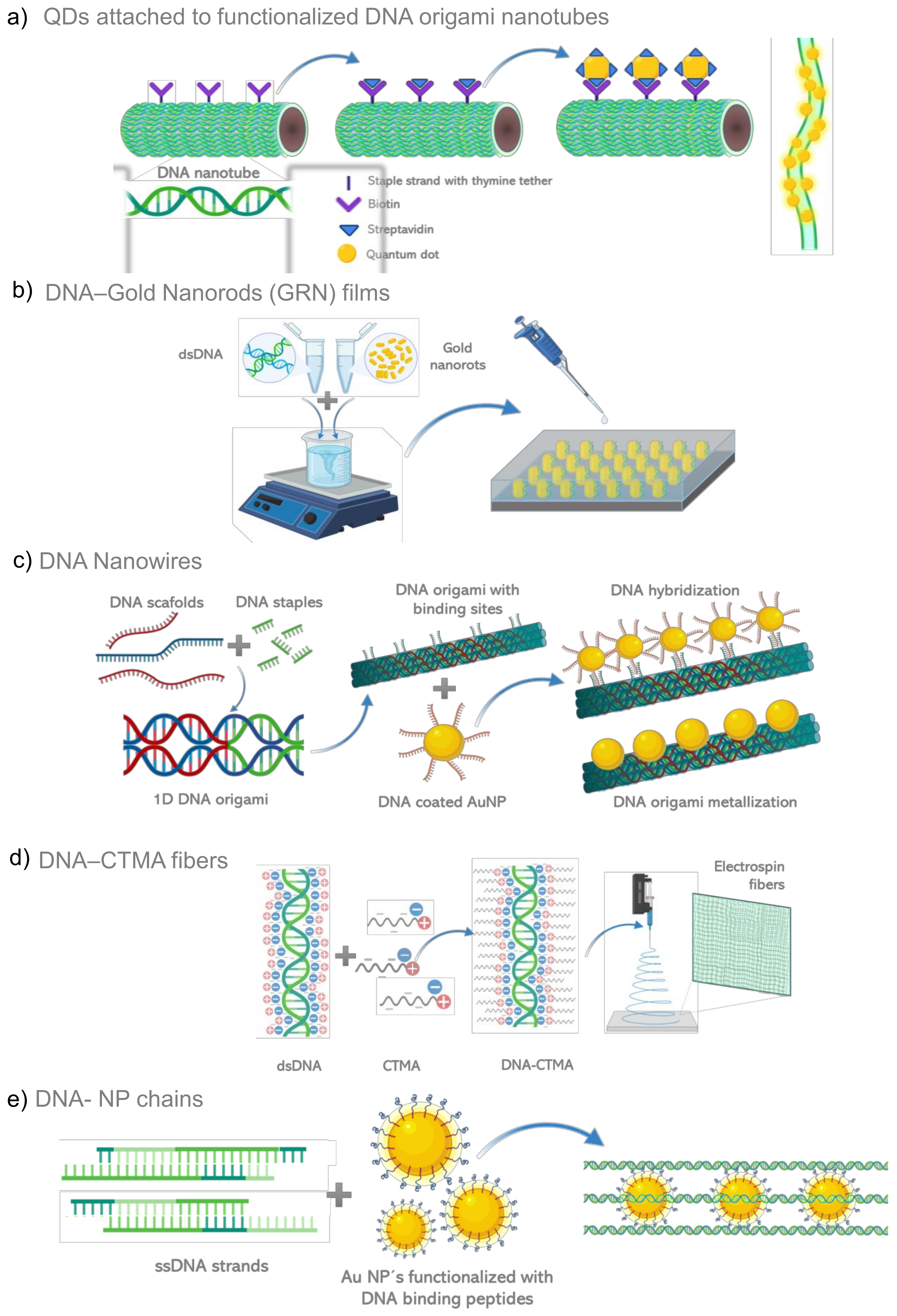 Biosensors 12 00962 g005