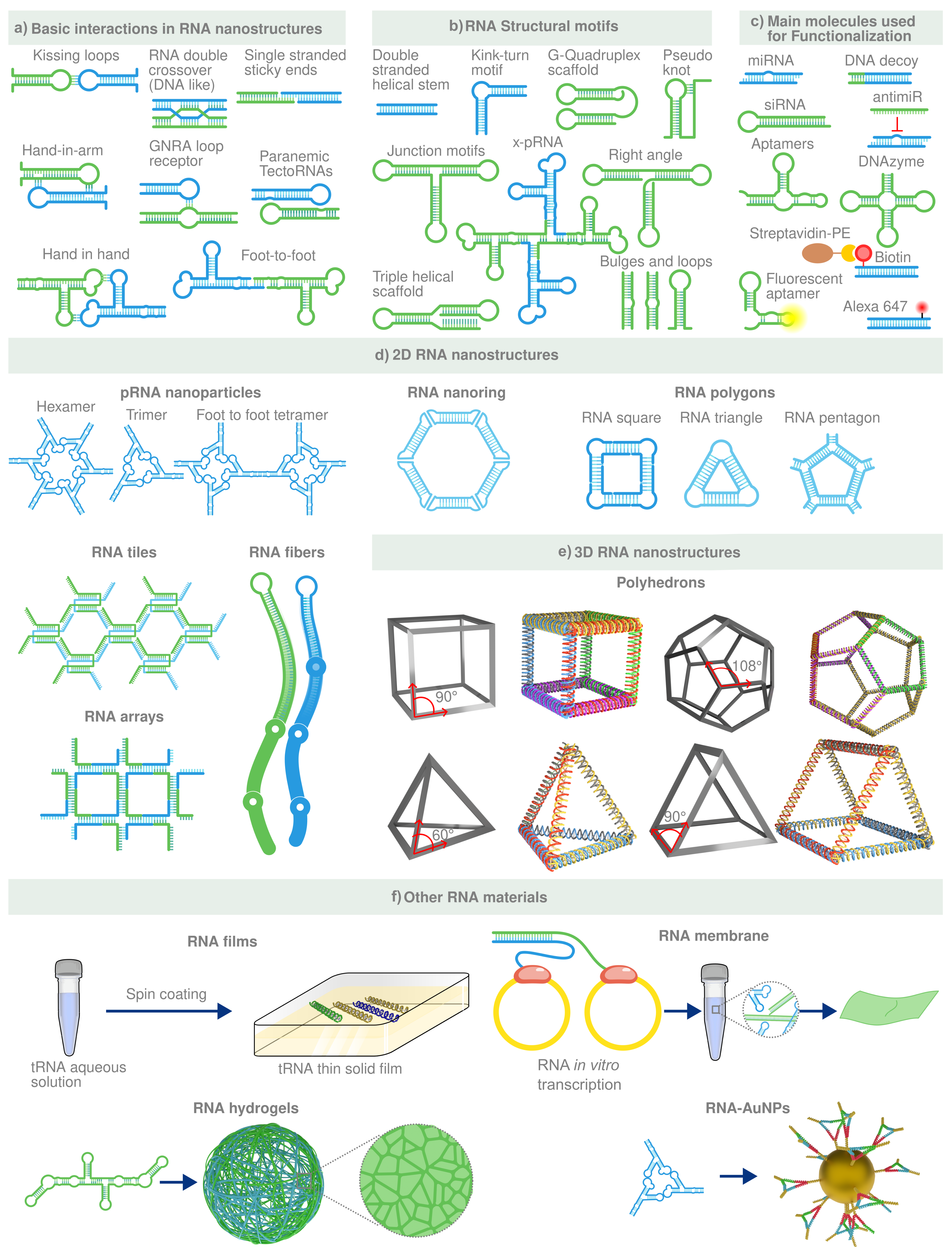 Biosensors 12 00962 g006