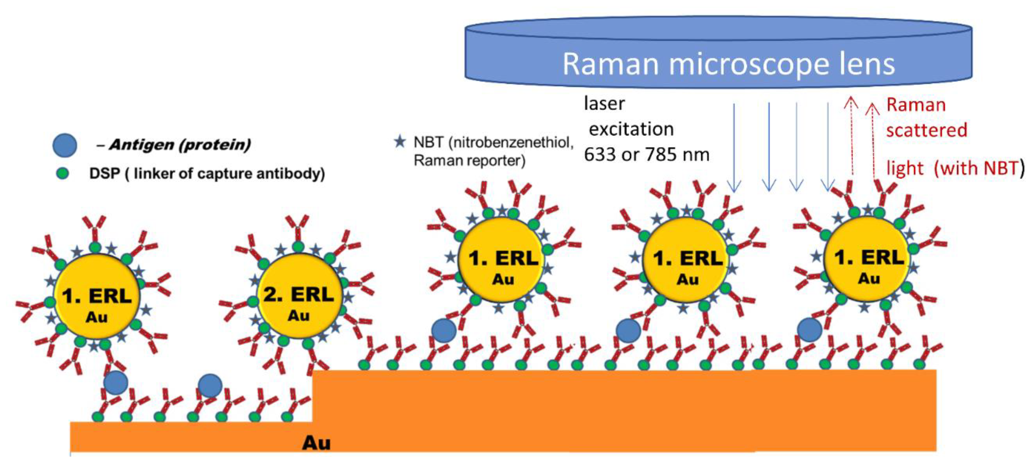 Biosensors 12 00967 g002