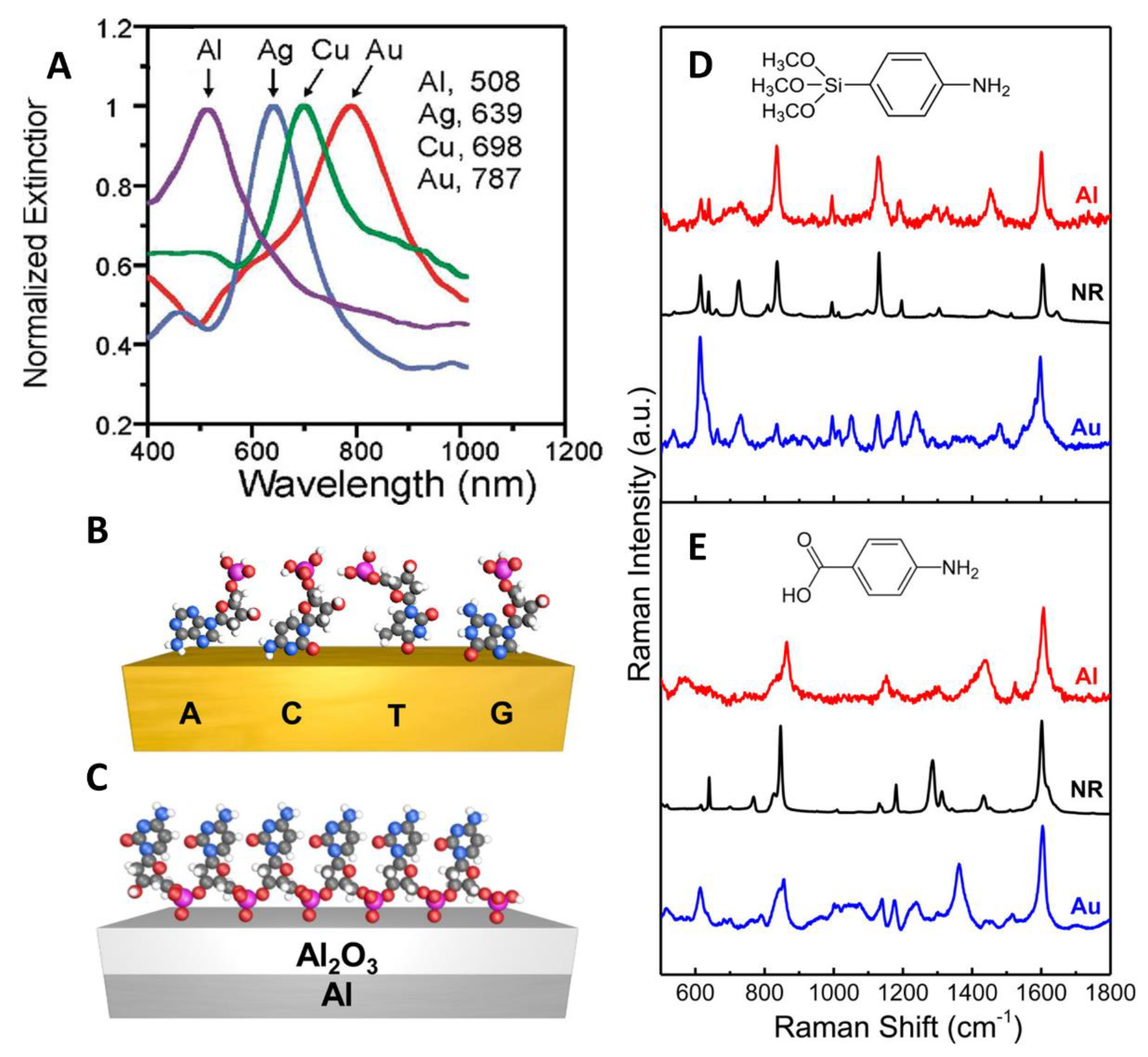 Biosensors 12 00967 g003
