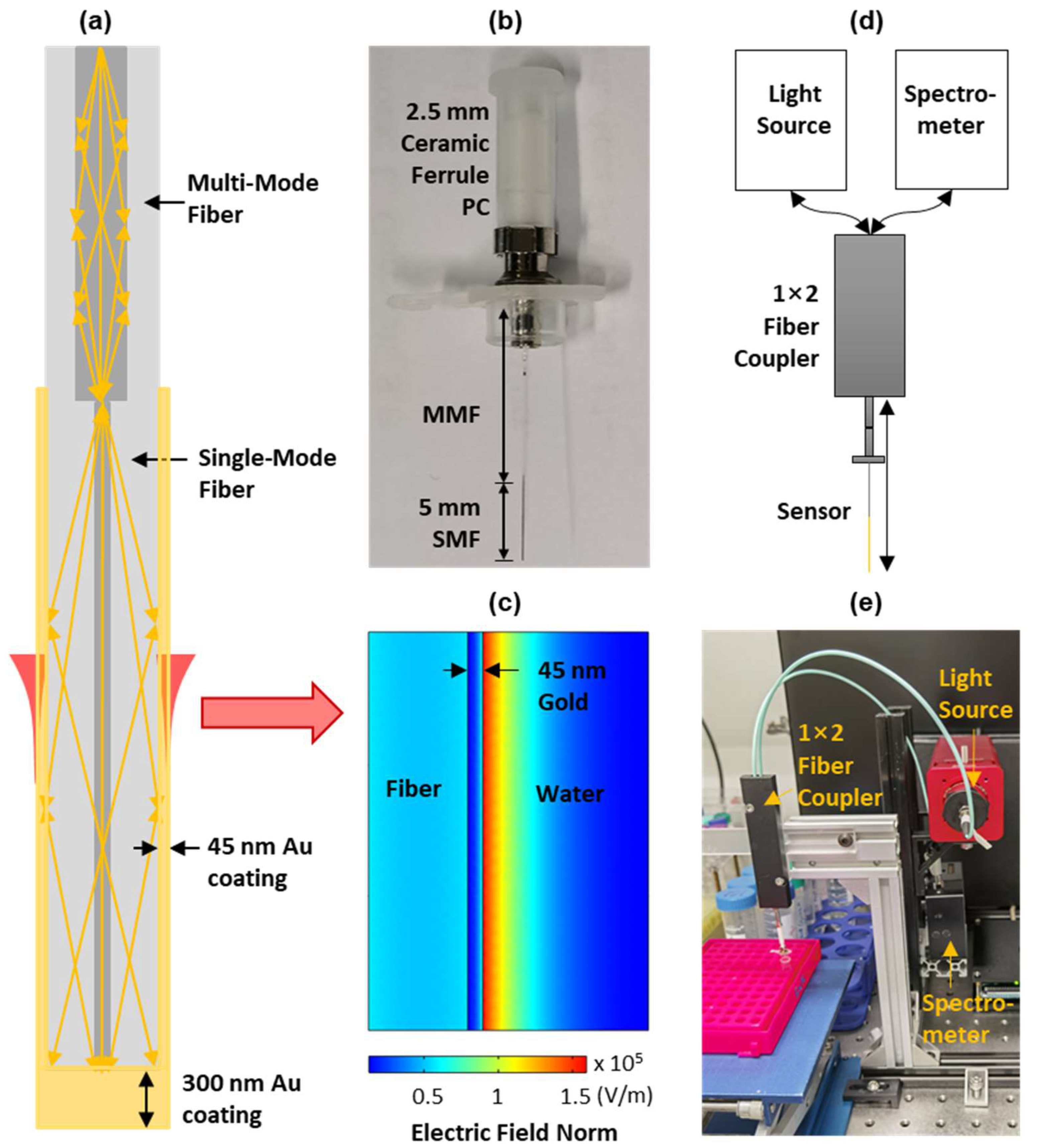 Biosensors 12 00968 g001