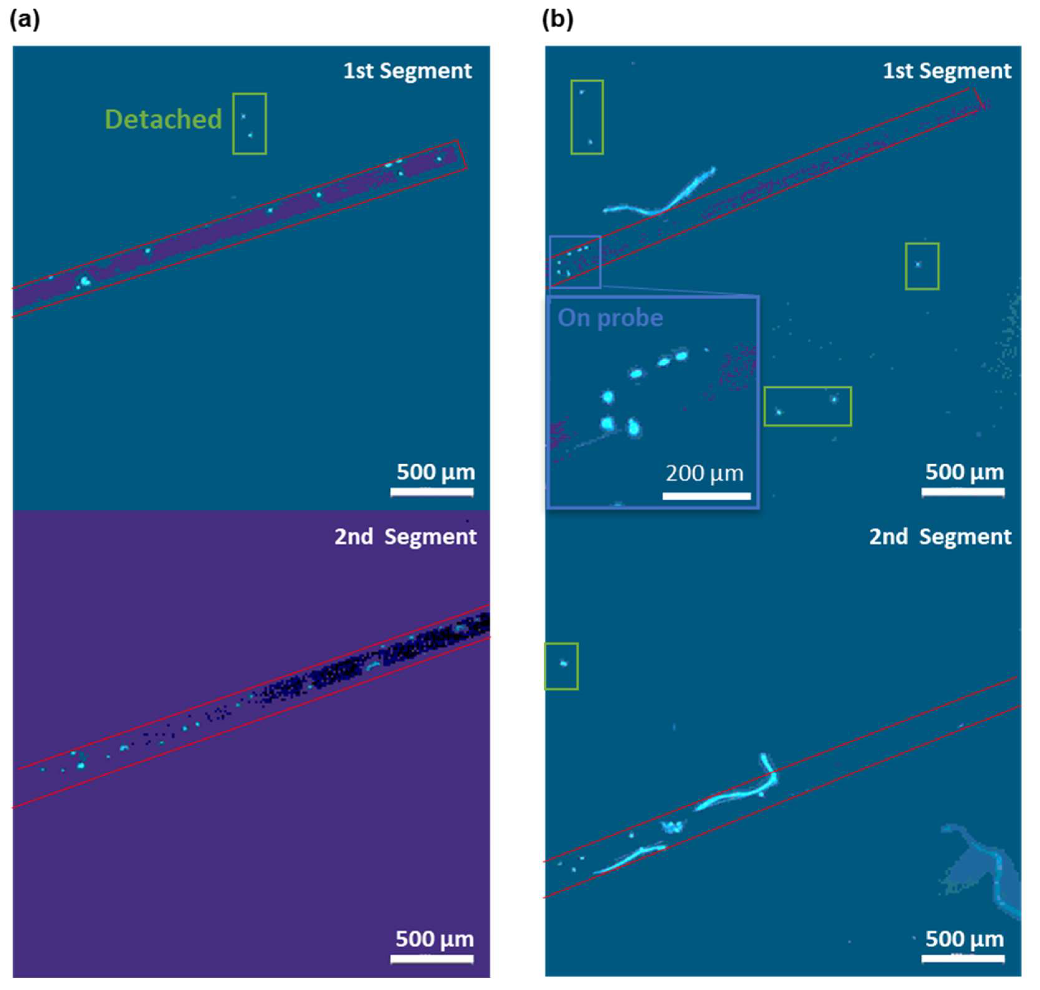 Biosensors 12 00968 g006