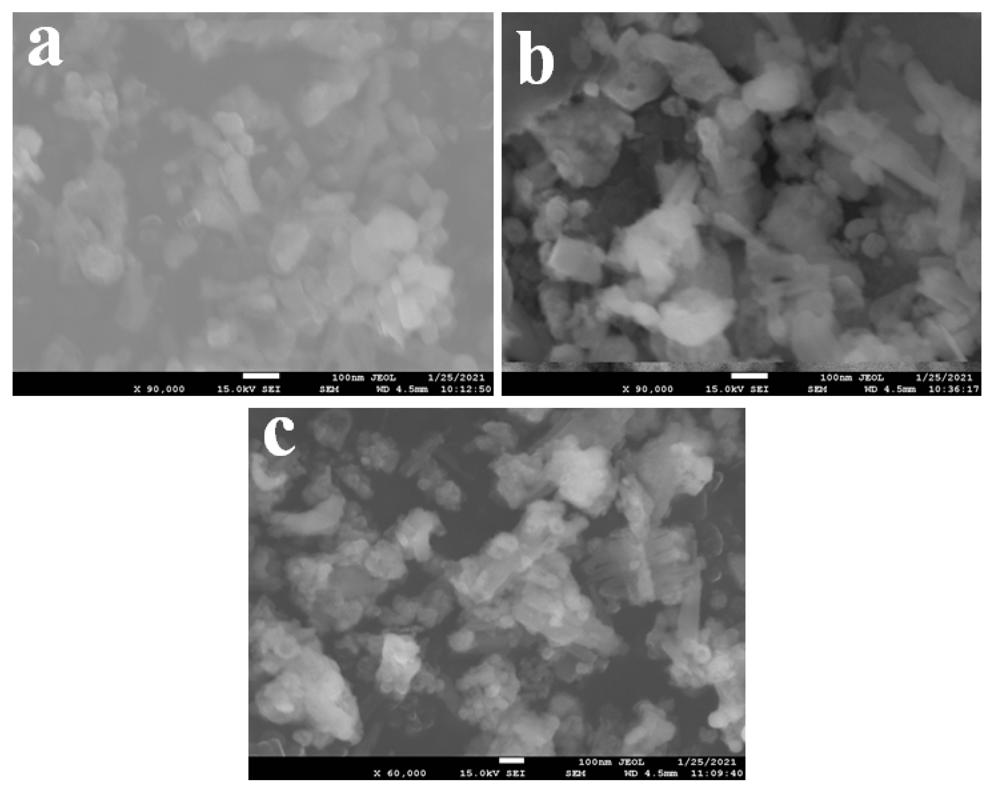 Biosensors 12 00976 g001
