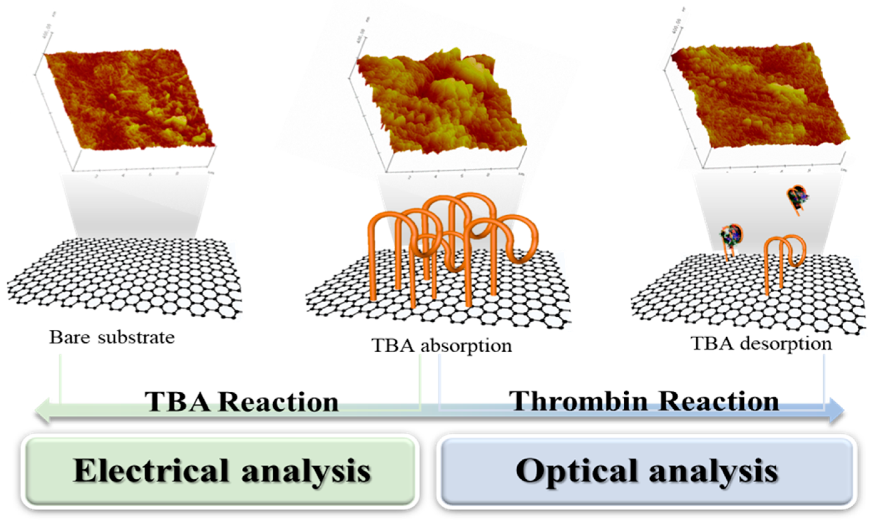 Biosensors 12 00979 g001 Biosensors 12 00979 g001