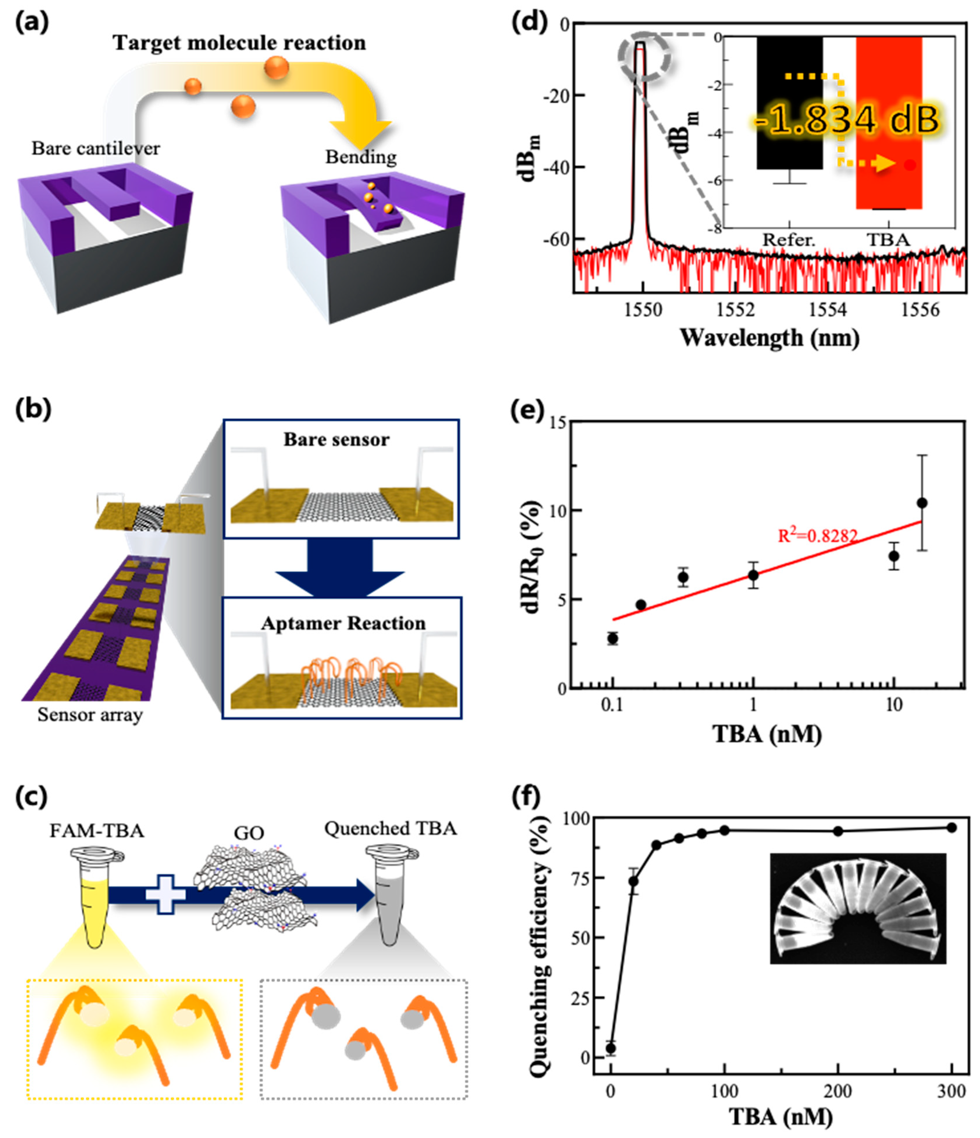 Biosensors 12 00979 g002 Biosensors 12 00979 g002