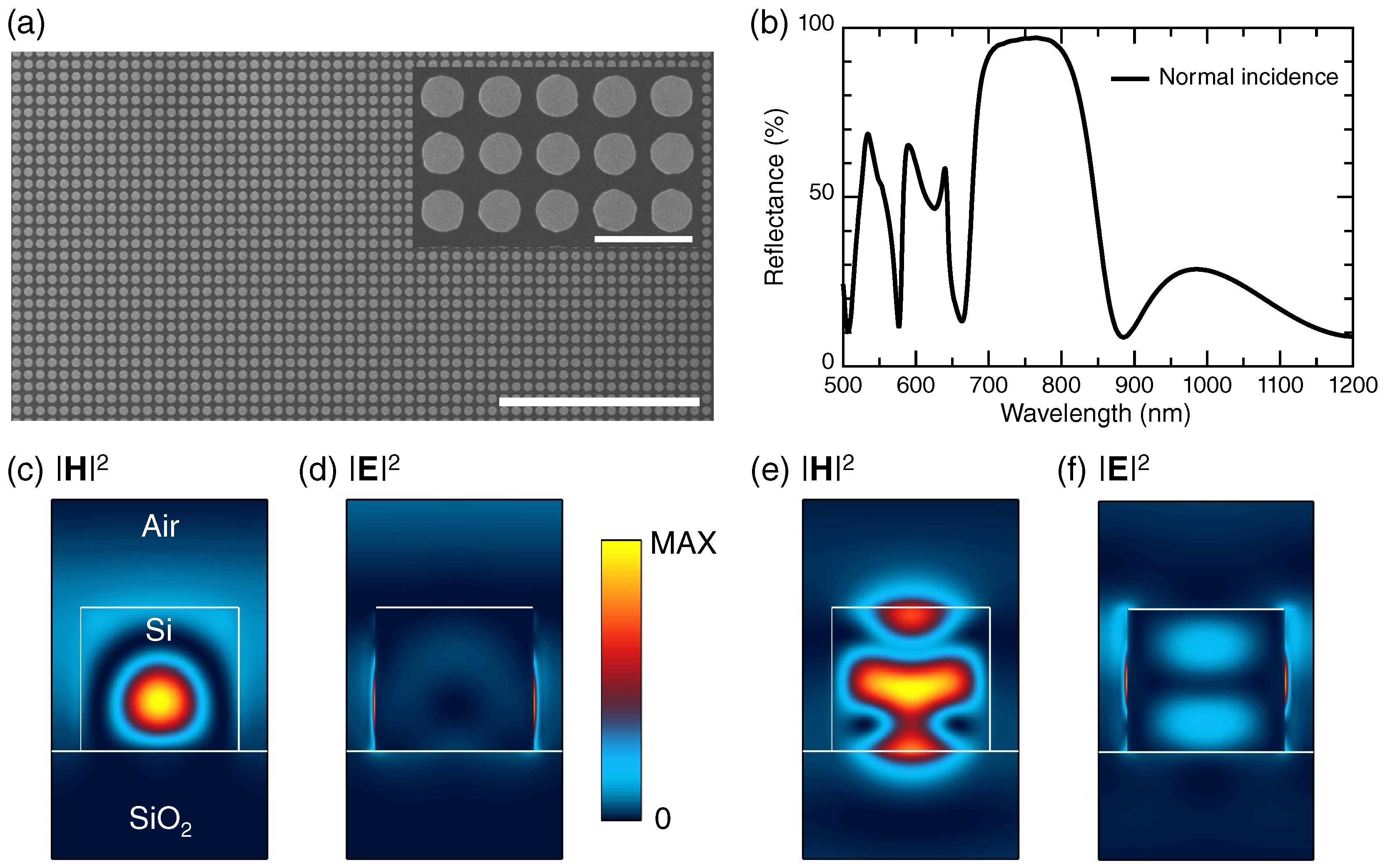 Biosensors 12 00981 g002 Biosensors 12 00981 g002