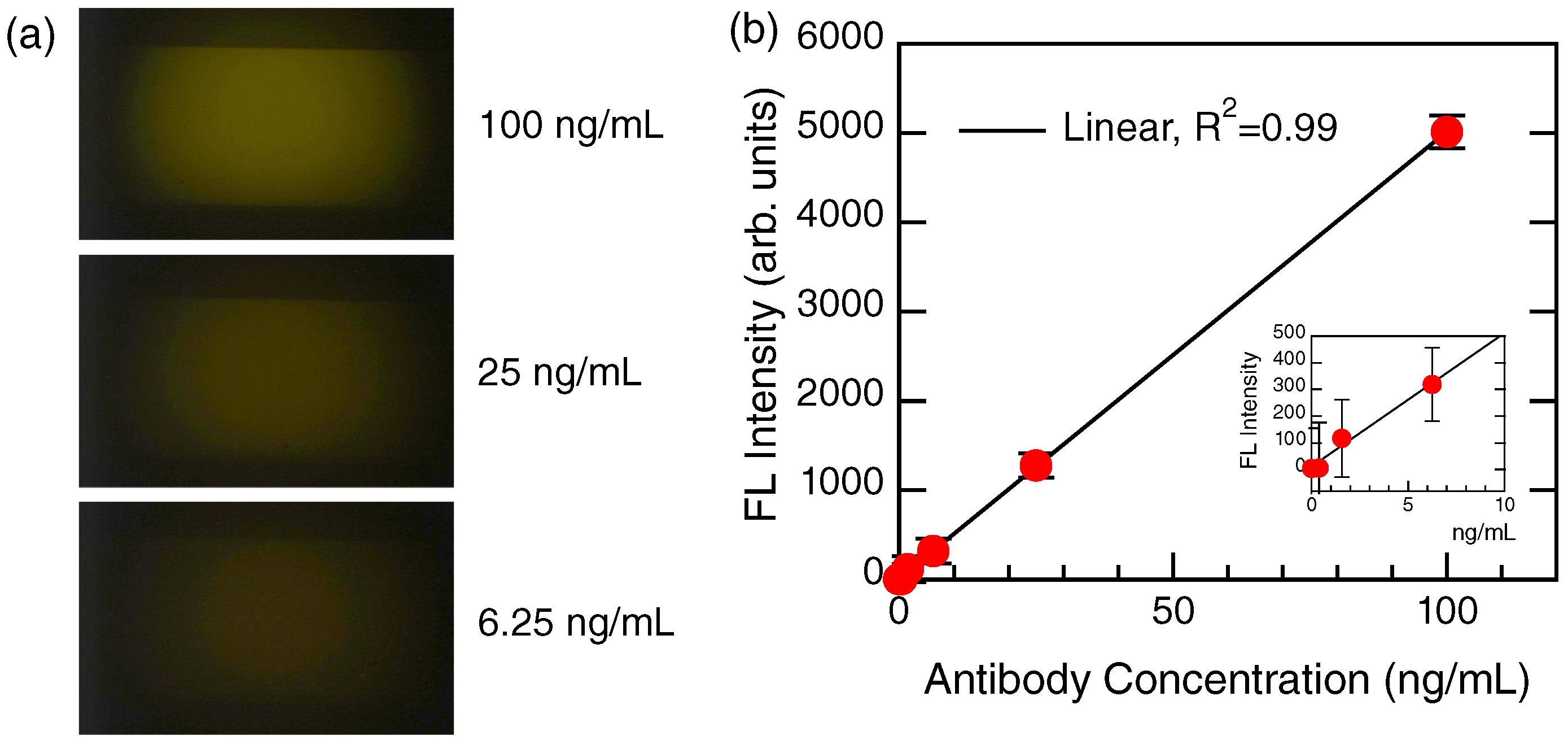 Biosensors 12 00981 g005 Biosensors 12 00981 g005