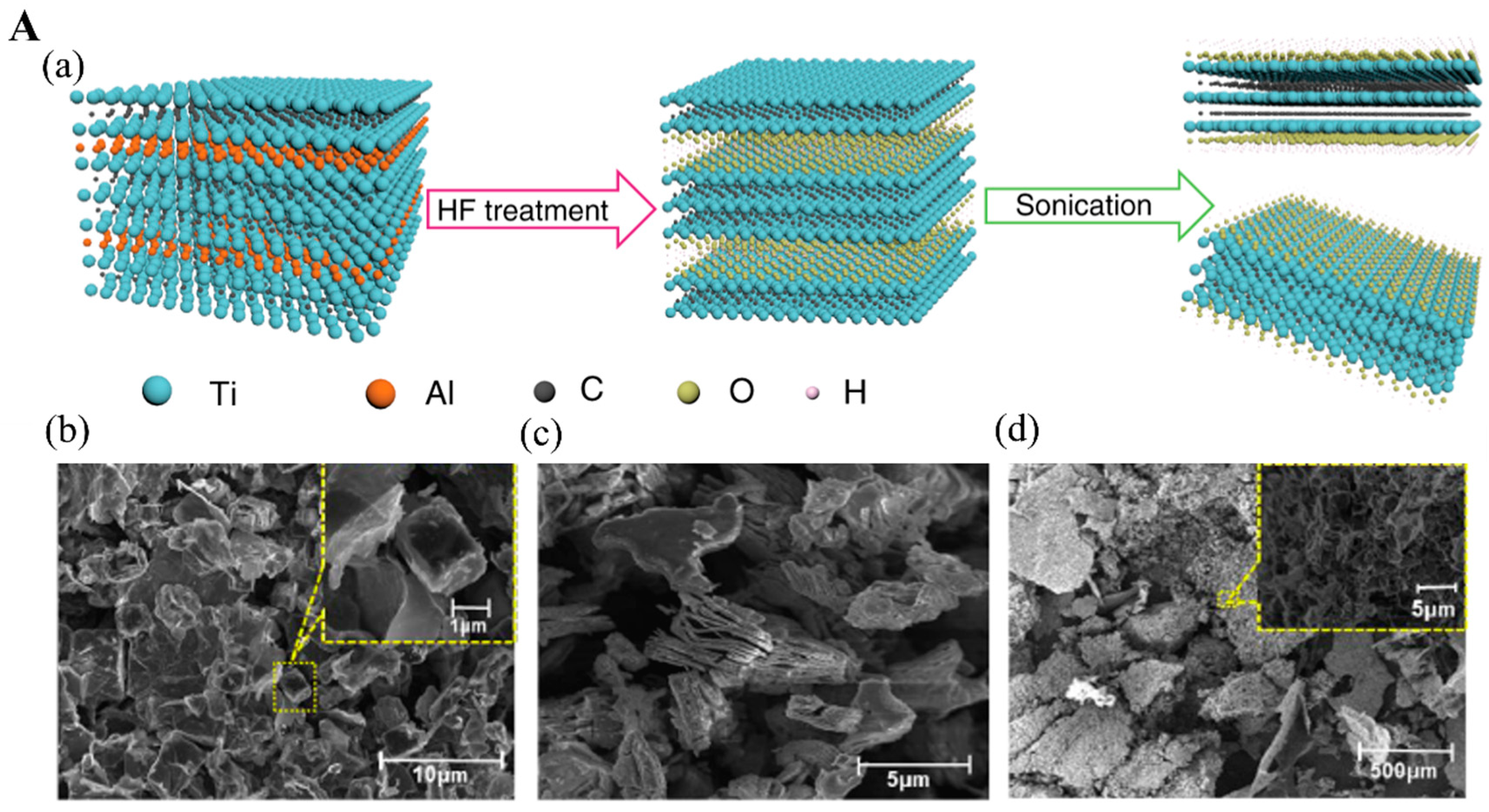 Biosensors 12 00982 g002a Biosensors 12 00982 g002a