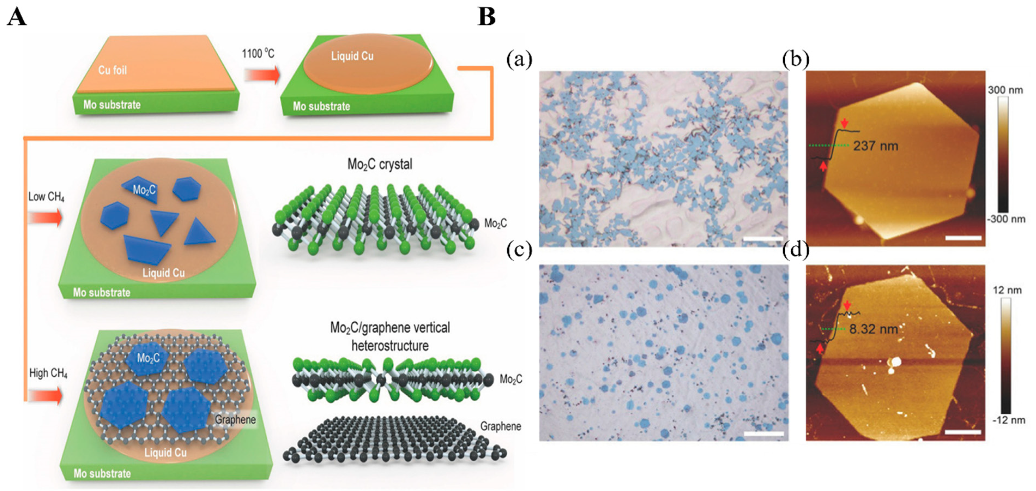 Biosensors 12 00982 g003 Biosensors 12 00982 g003
