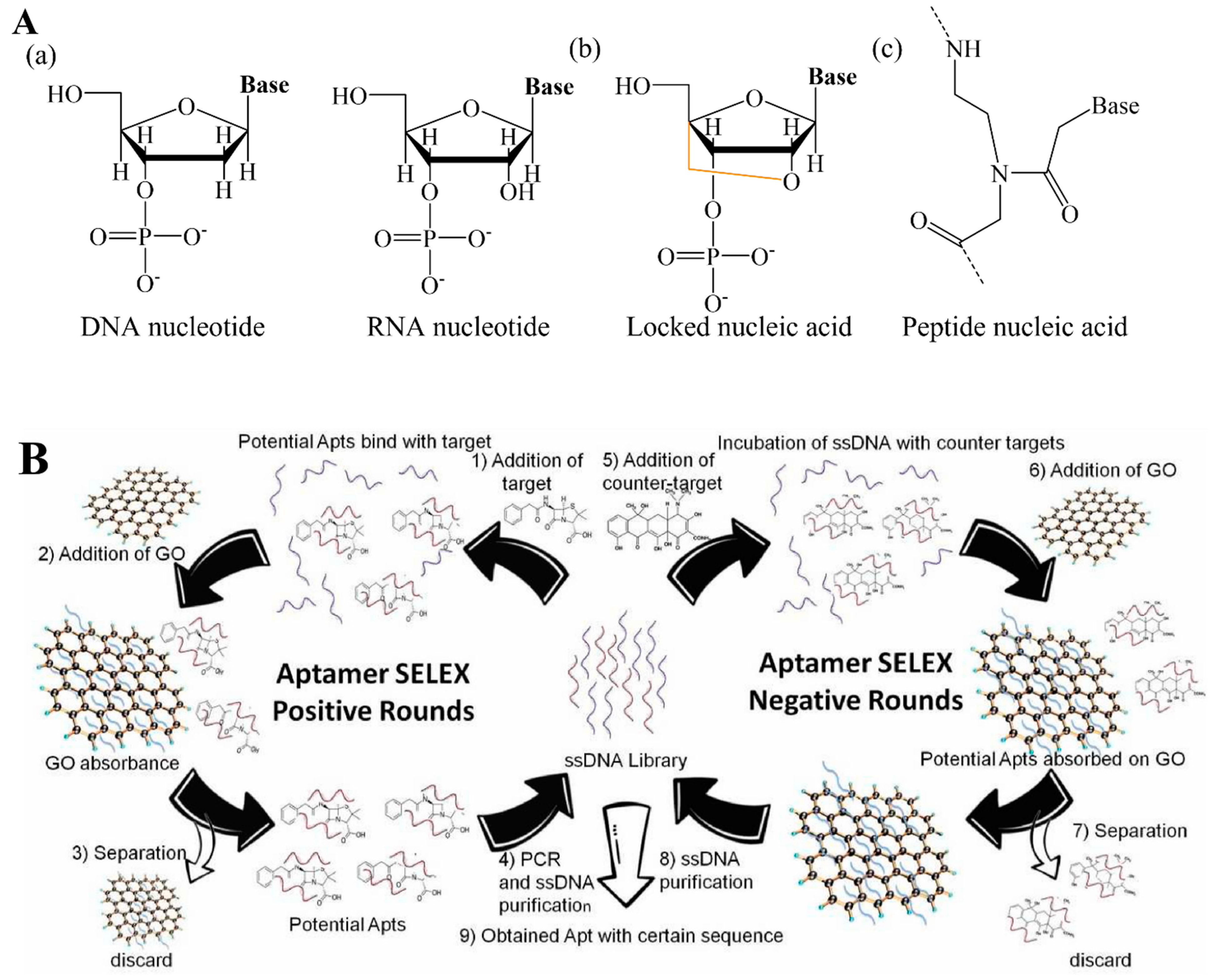 Biosensors 12 00982 g004 Biosensors 12 00982 g004