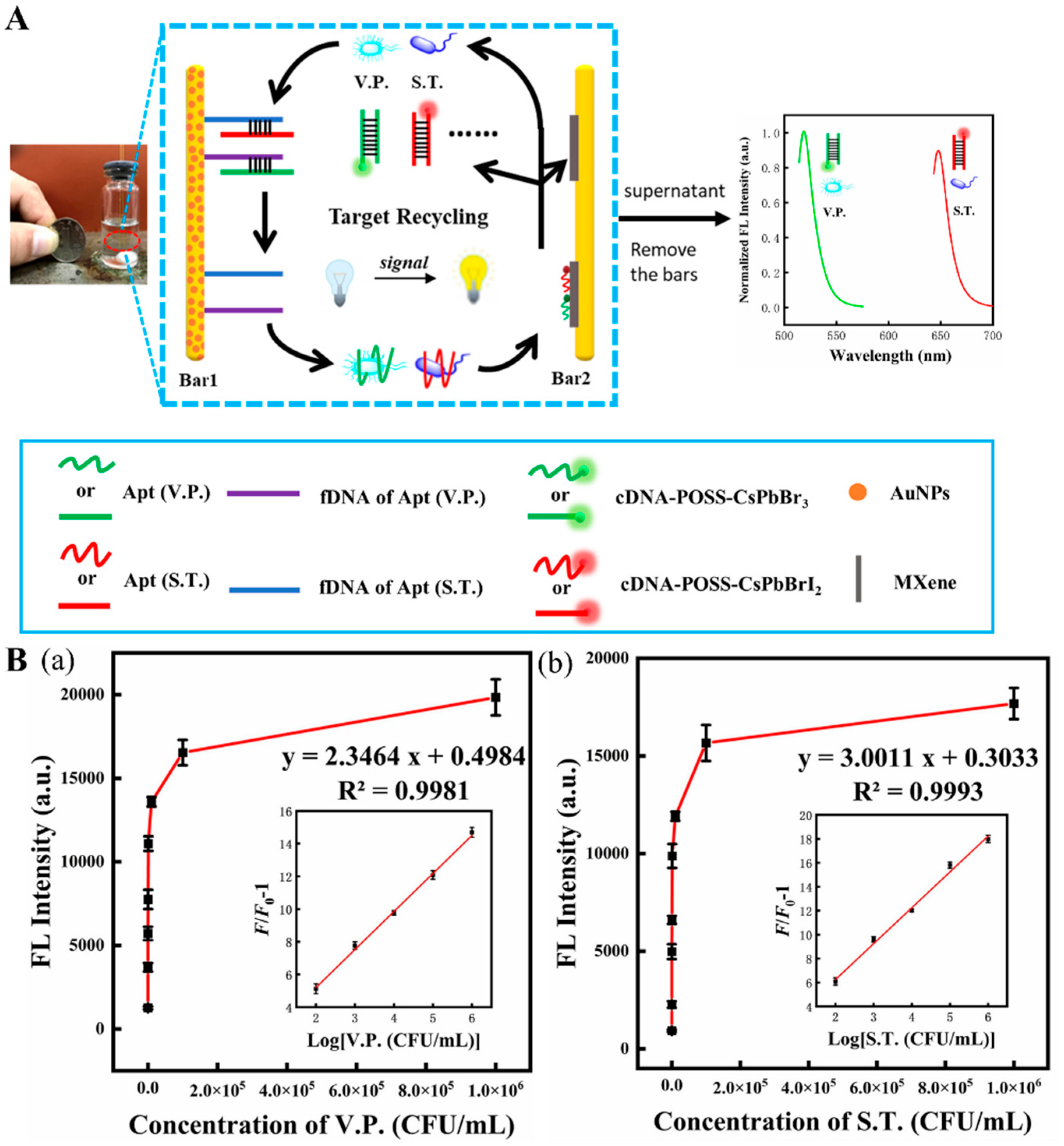 Biosensors 12 00982 g006 Biosensors 12 00982 g006