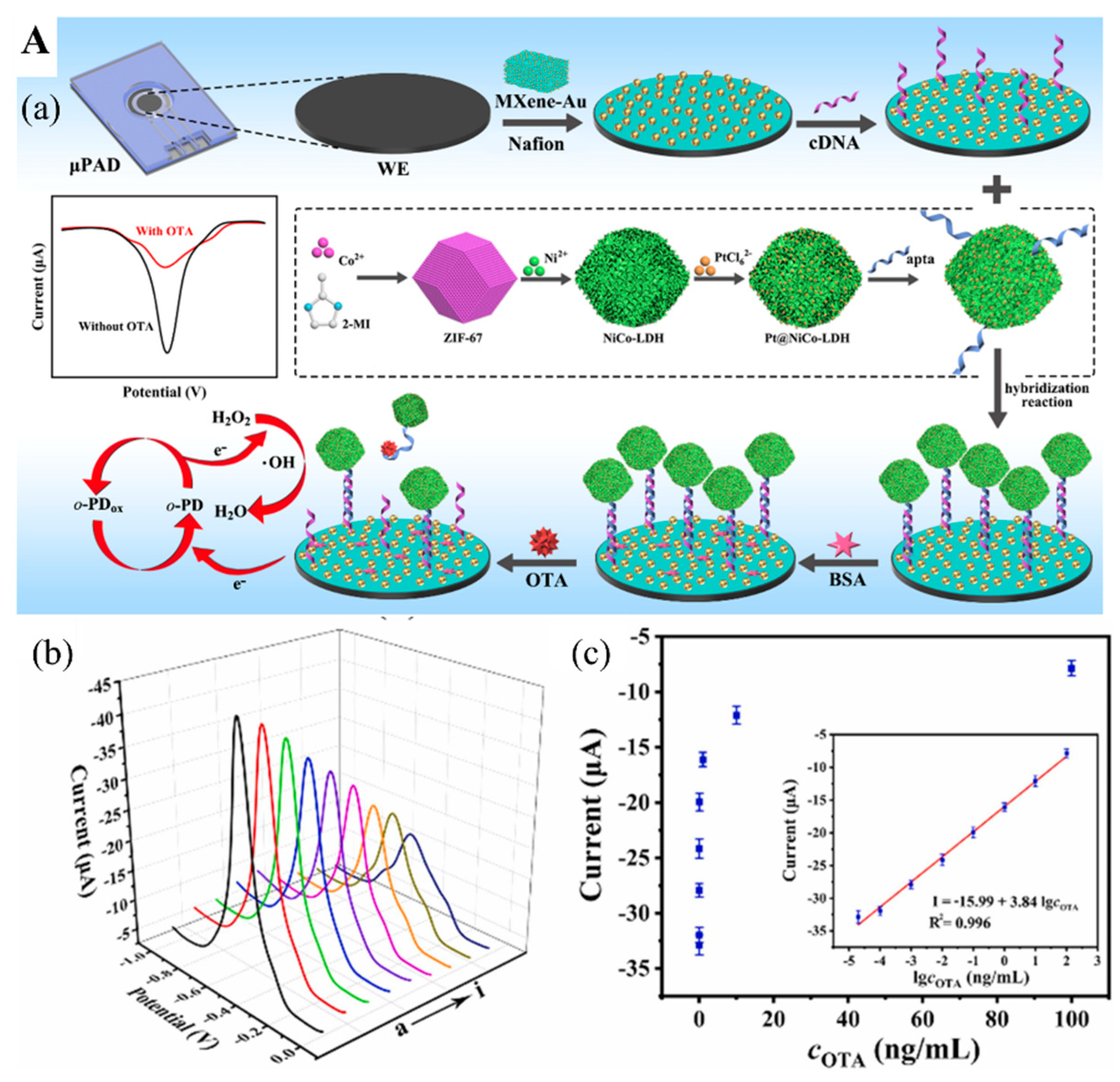 Biosensors 12 00982 g007a Biosensors 12 00982 g007a