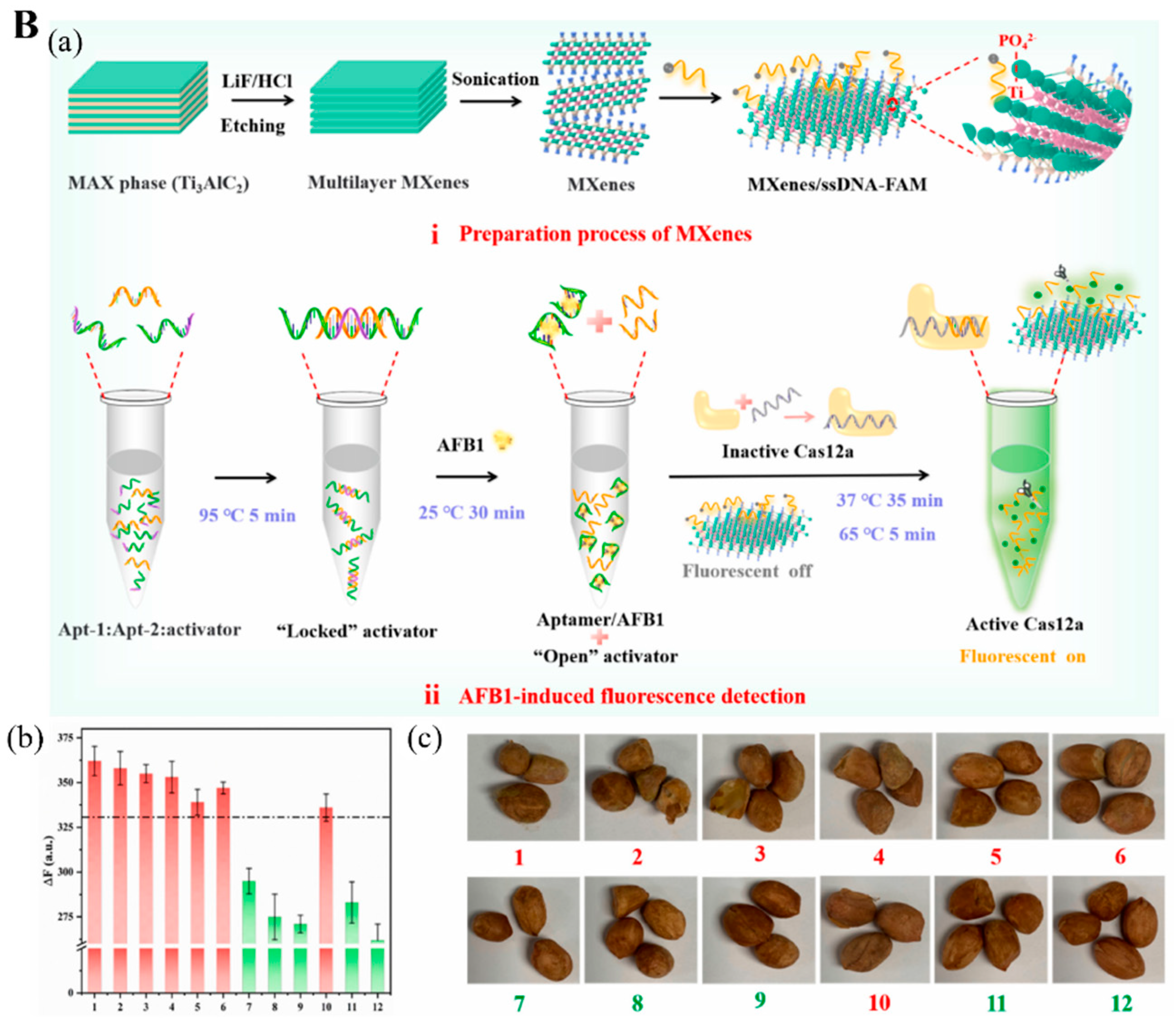 Biosensors 12 00982 g007b Biosensors 12 00982 g007b